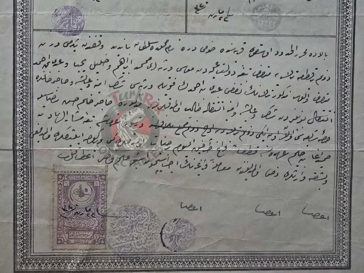 Ottoman 1904 Land Deed Field in İstanbul Küçükçekmece Uskumru Muslim Citizens Empire
