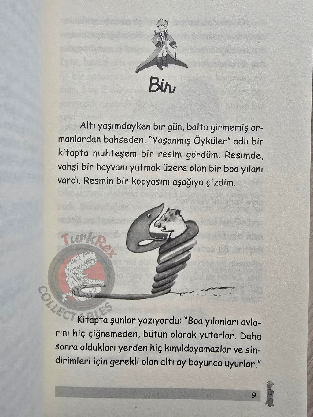 Antoine de Saint-Exupéry – Le Petit Prince 2022 Turkish Book Turkey Illustrated Little