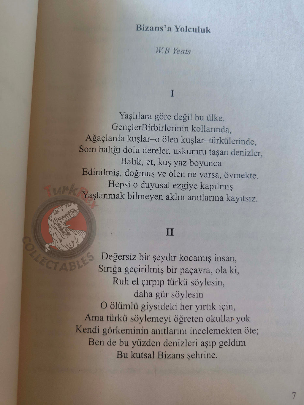 Anne Rice – The Tale of the Body Thief 2010 1st Turkish Book Turkey