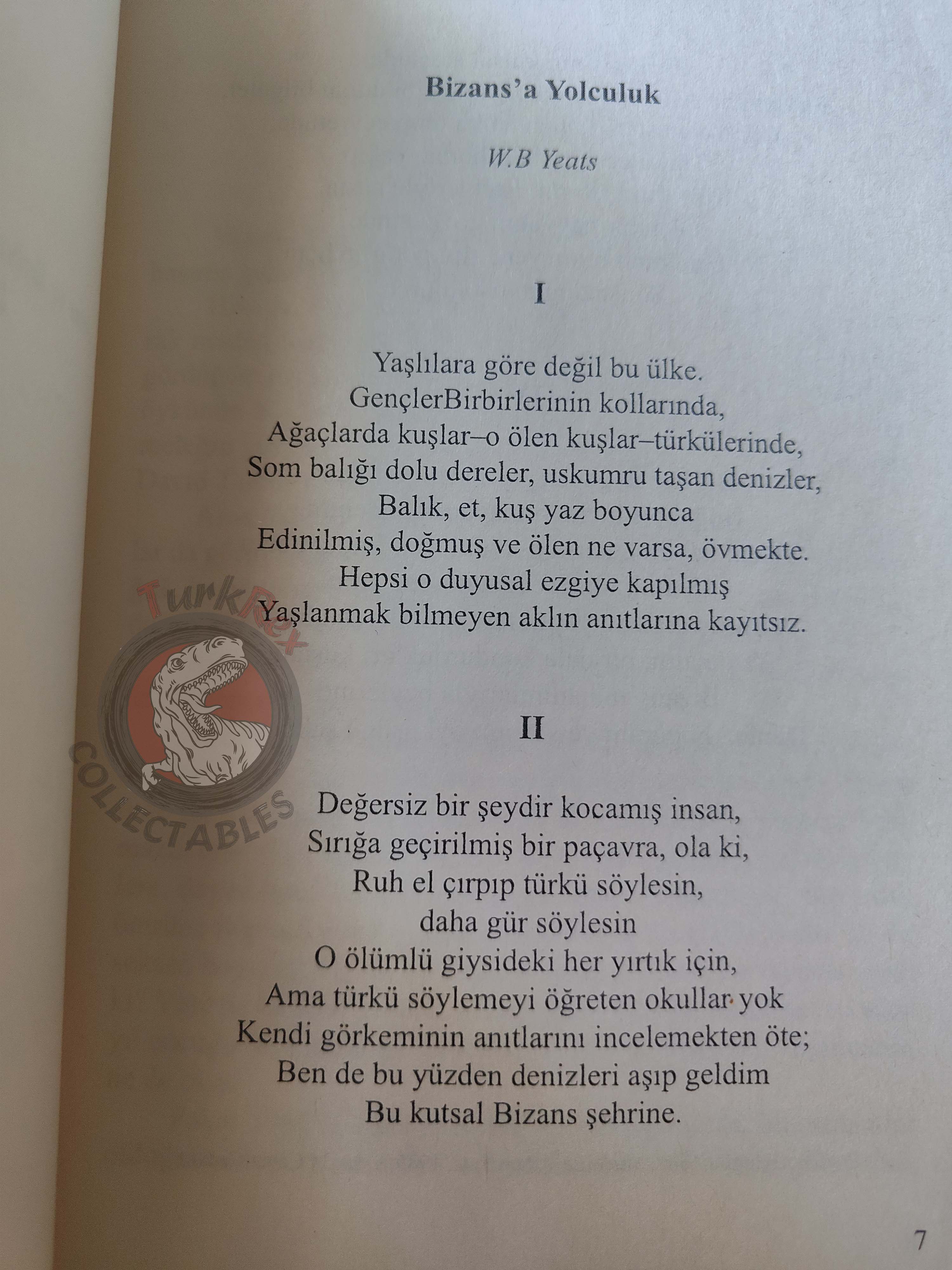 Anne Rice – The Tale of the Body Thief 2010 1st Turkish Book Turkey