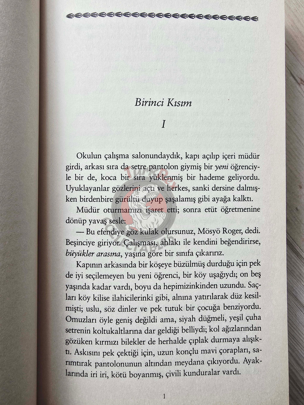 Gustave Flaubert – Madame Bovary 2009 Turkish Book Turkey