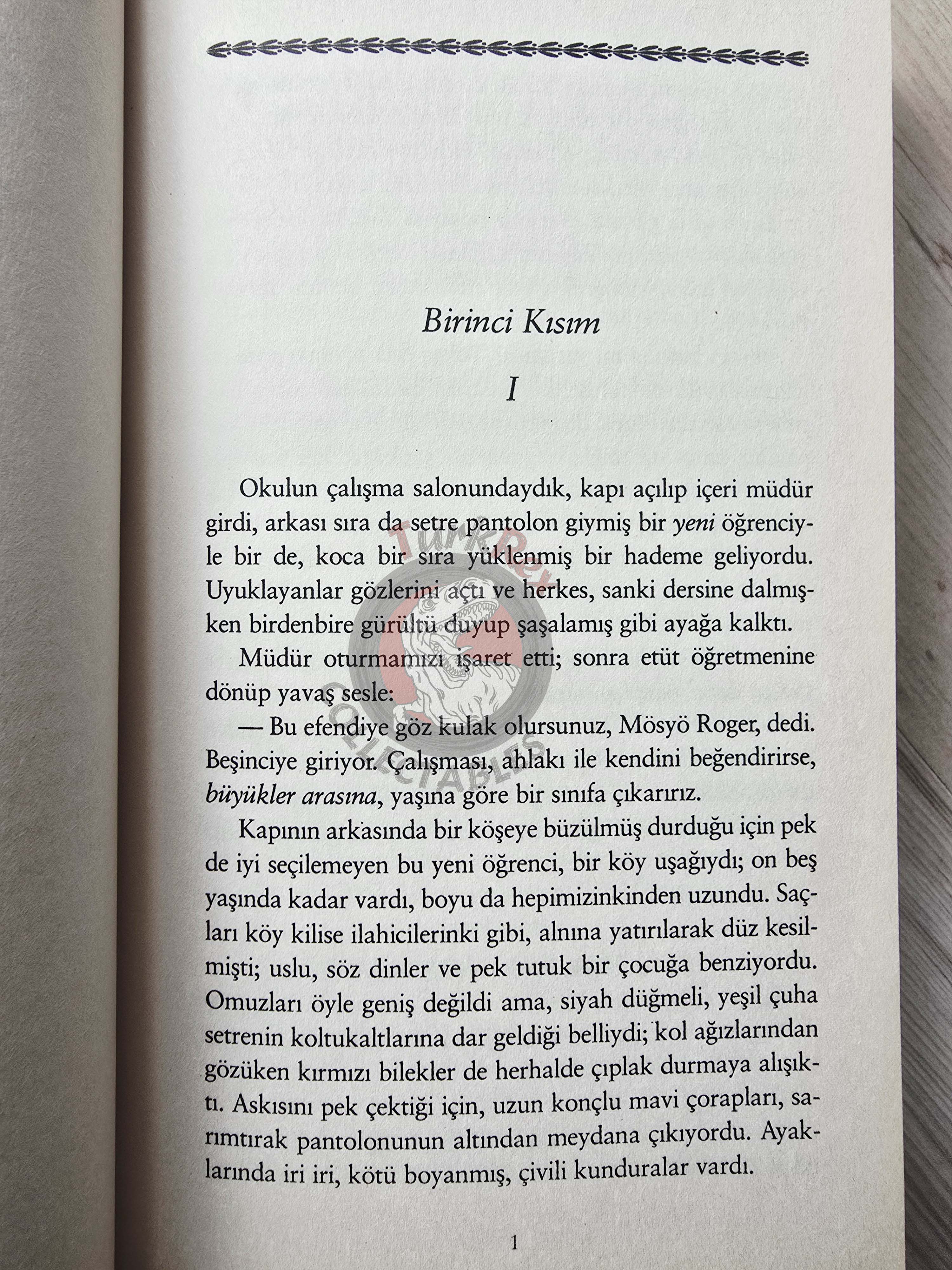 Gustave Flaubert – Madame Bovary 2009 Turkish Book Turkey