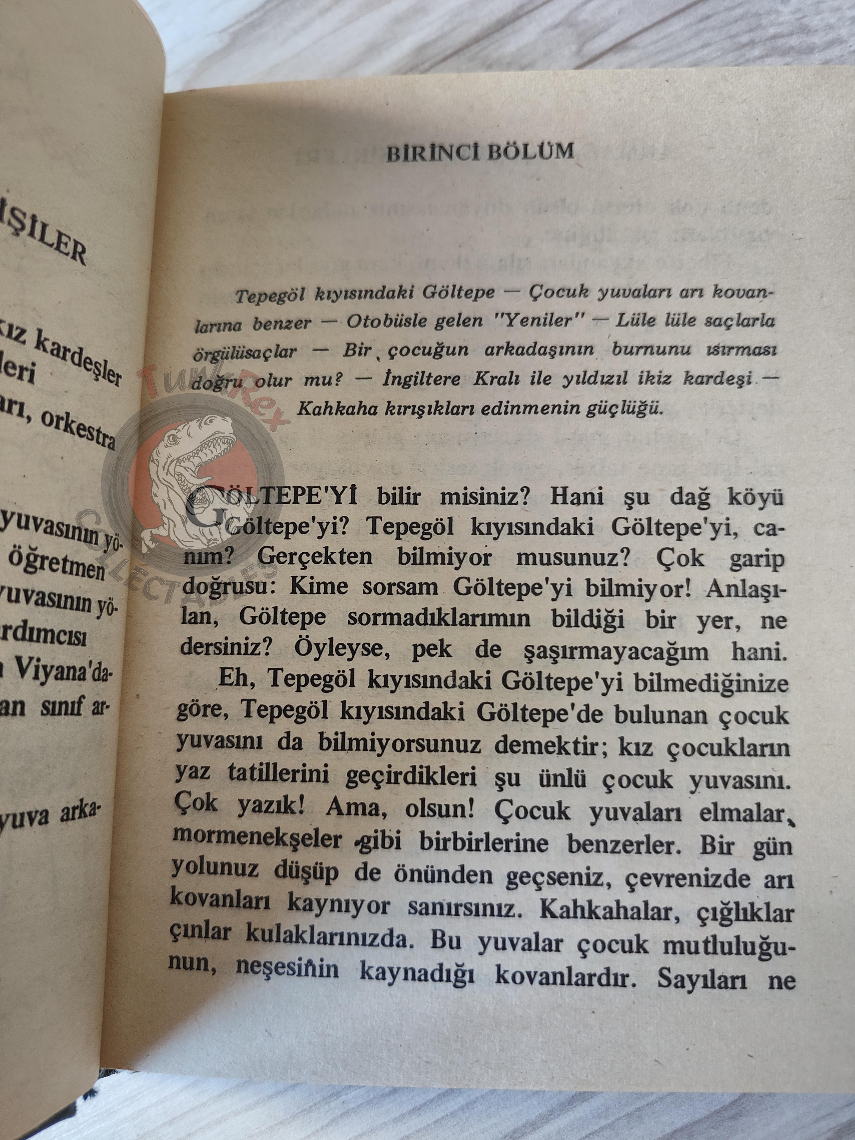 Erich Kästner – The Parent Trap 1976 HC/DJ Turkish Book Turkey Illustrated