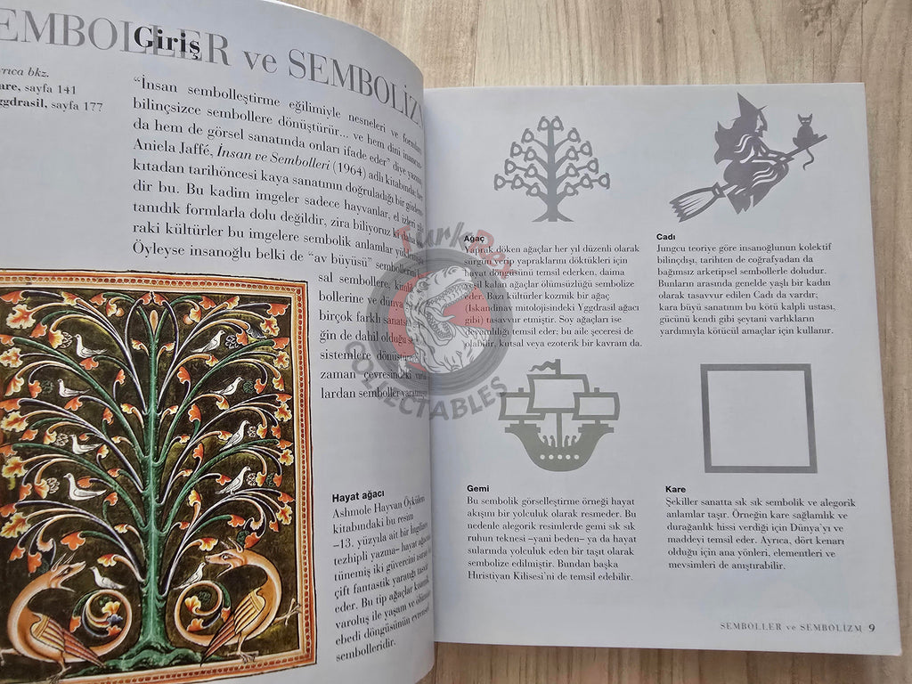 Clare Gibson – How To Read Symbols 2013 Turkish Book Turkey