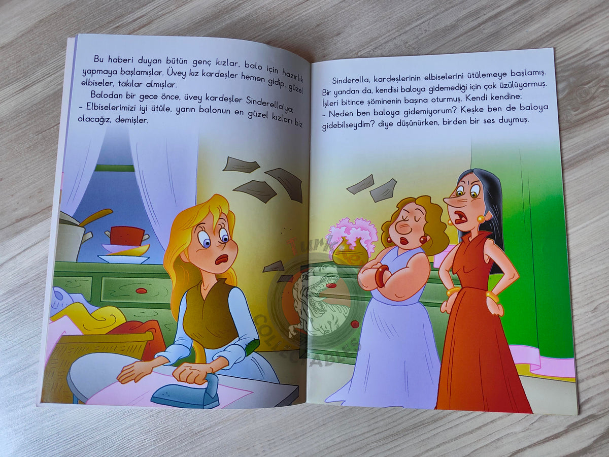 Grimm Brothers – Cinderella 2011 Turkish Book Turkey Illustrated 1