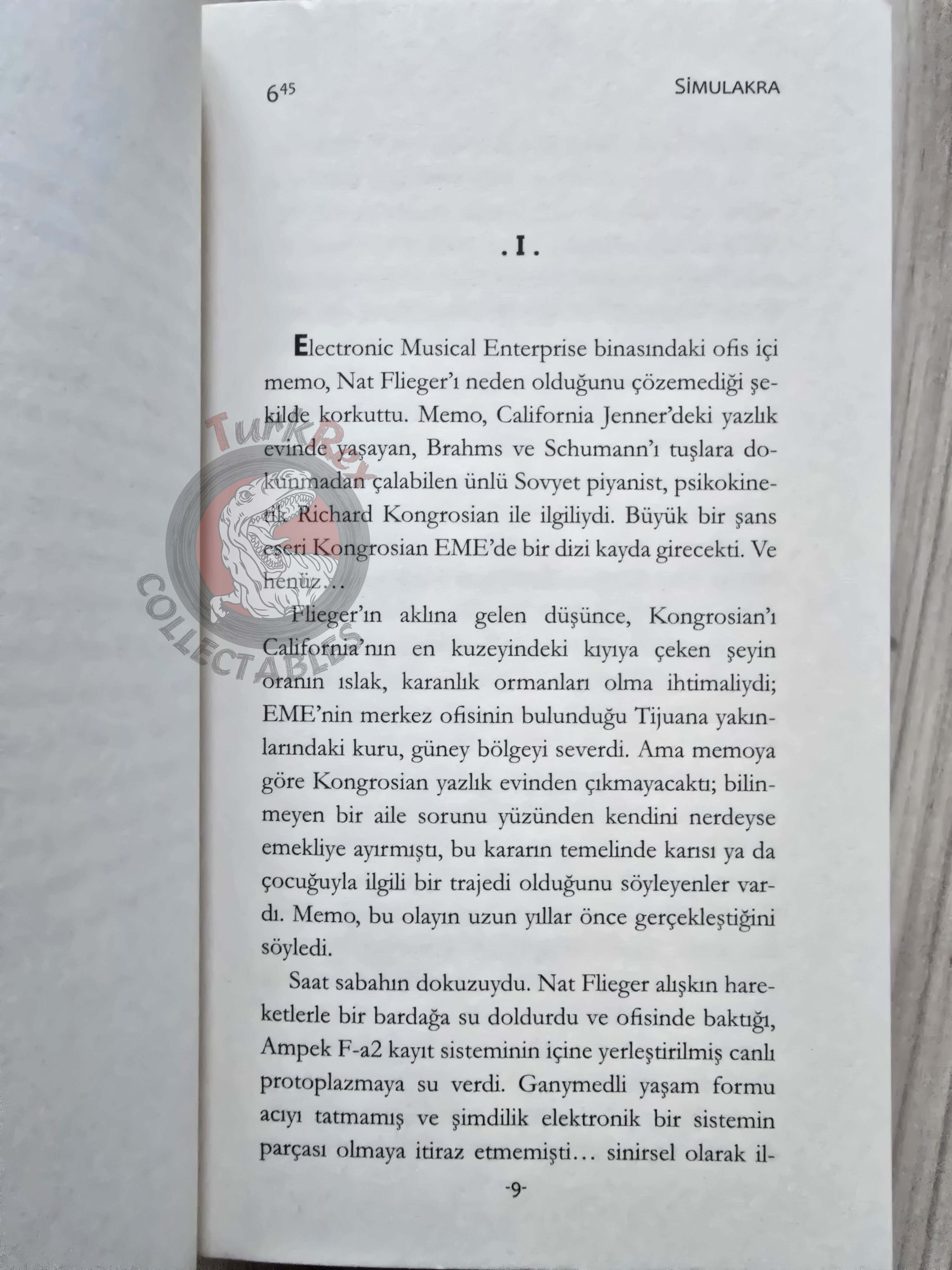 Philip K. Dick – The Simulacra 2015 Turkish Book Turkey