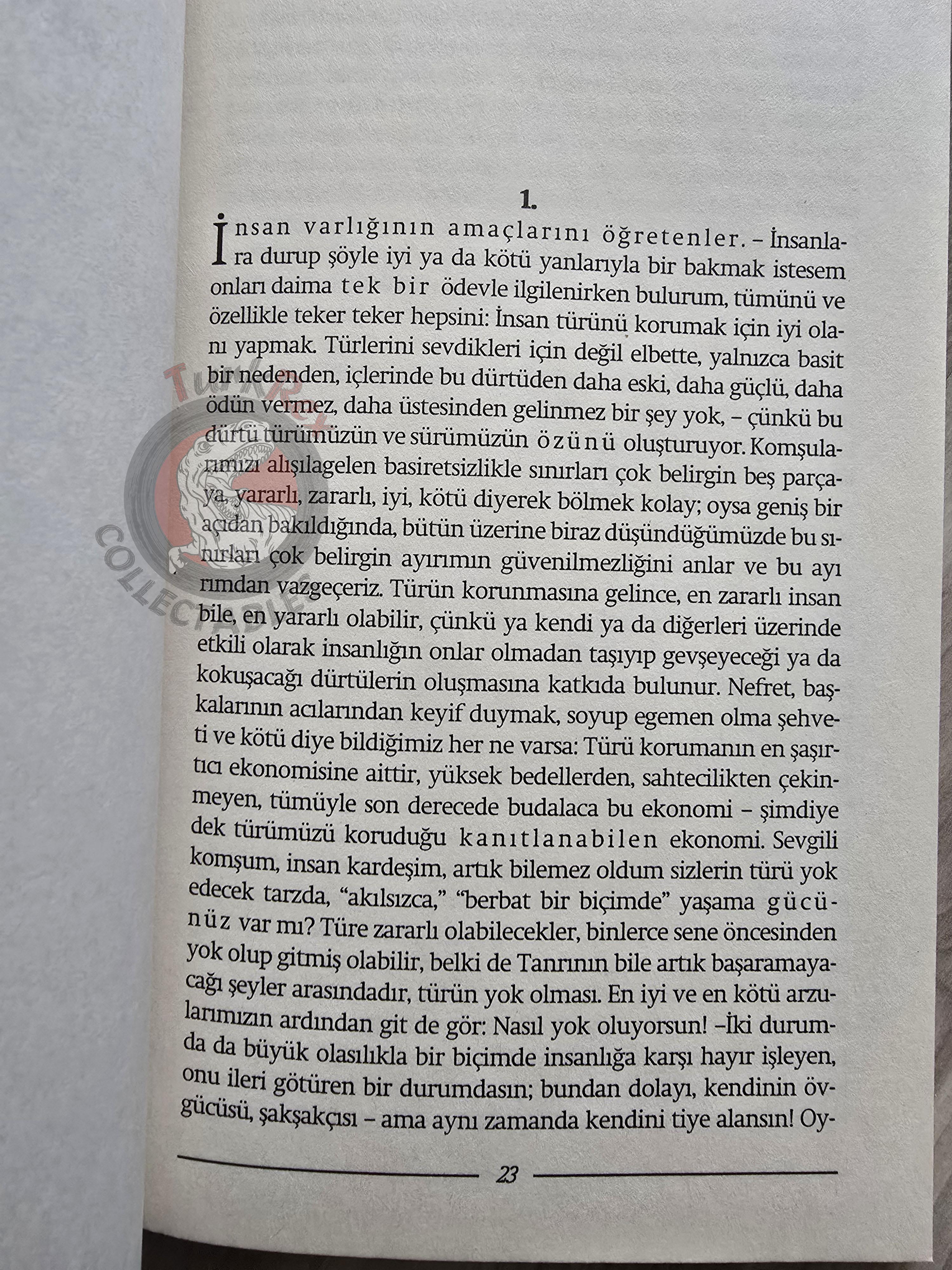 Friedrich Nietzsche – The Gay Science 2011 Turkish Book Turkey