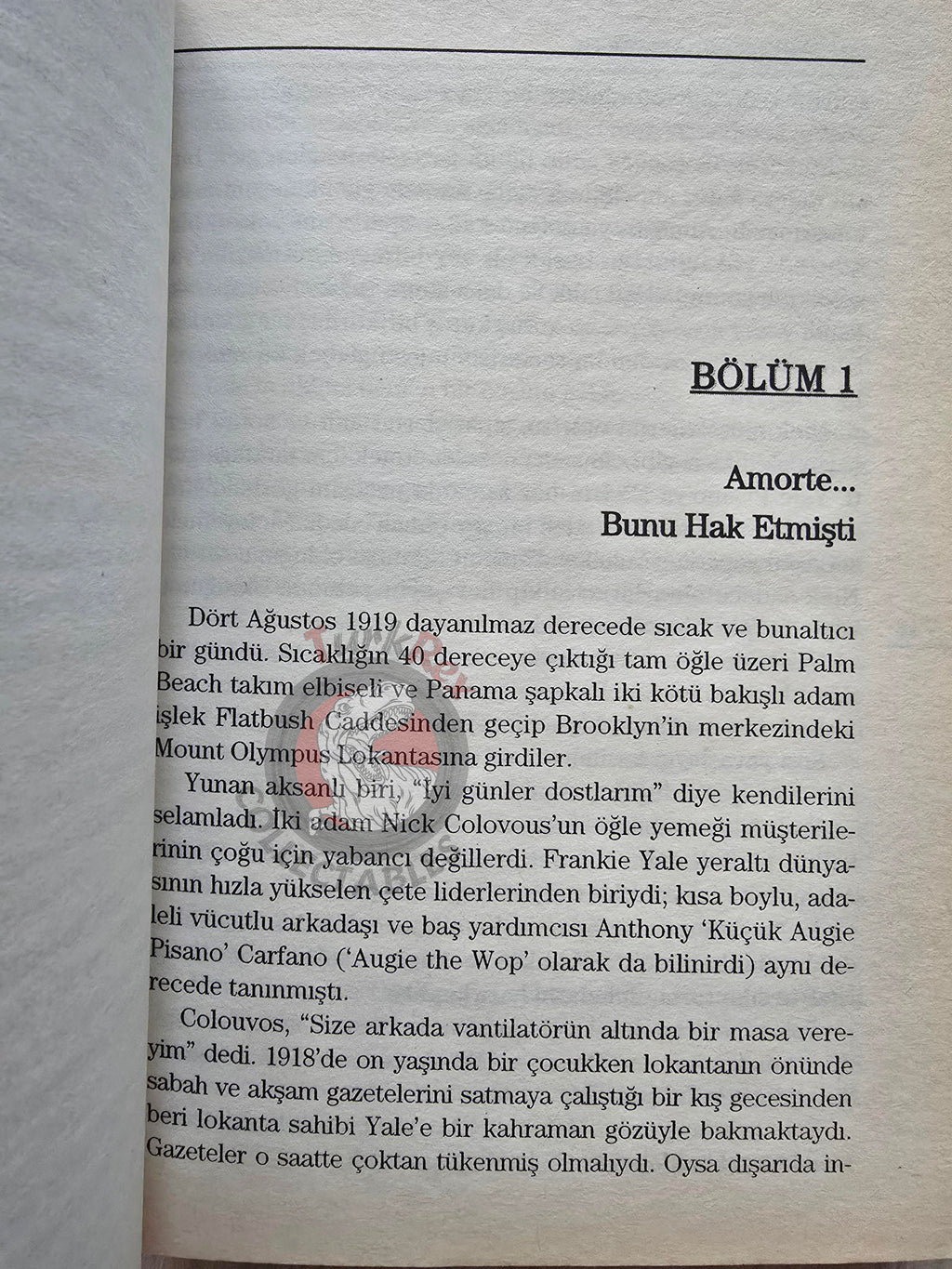 William Balsamo – The Mafia: The First 100 Years 2006 Turkish Book Turkey