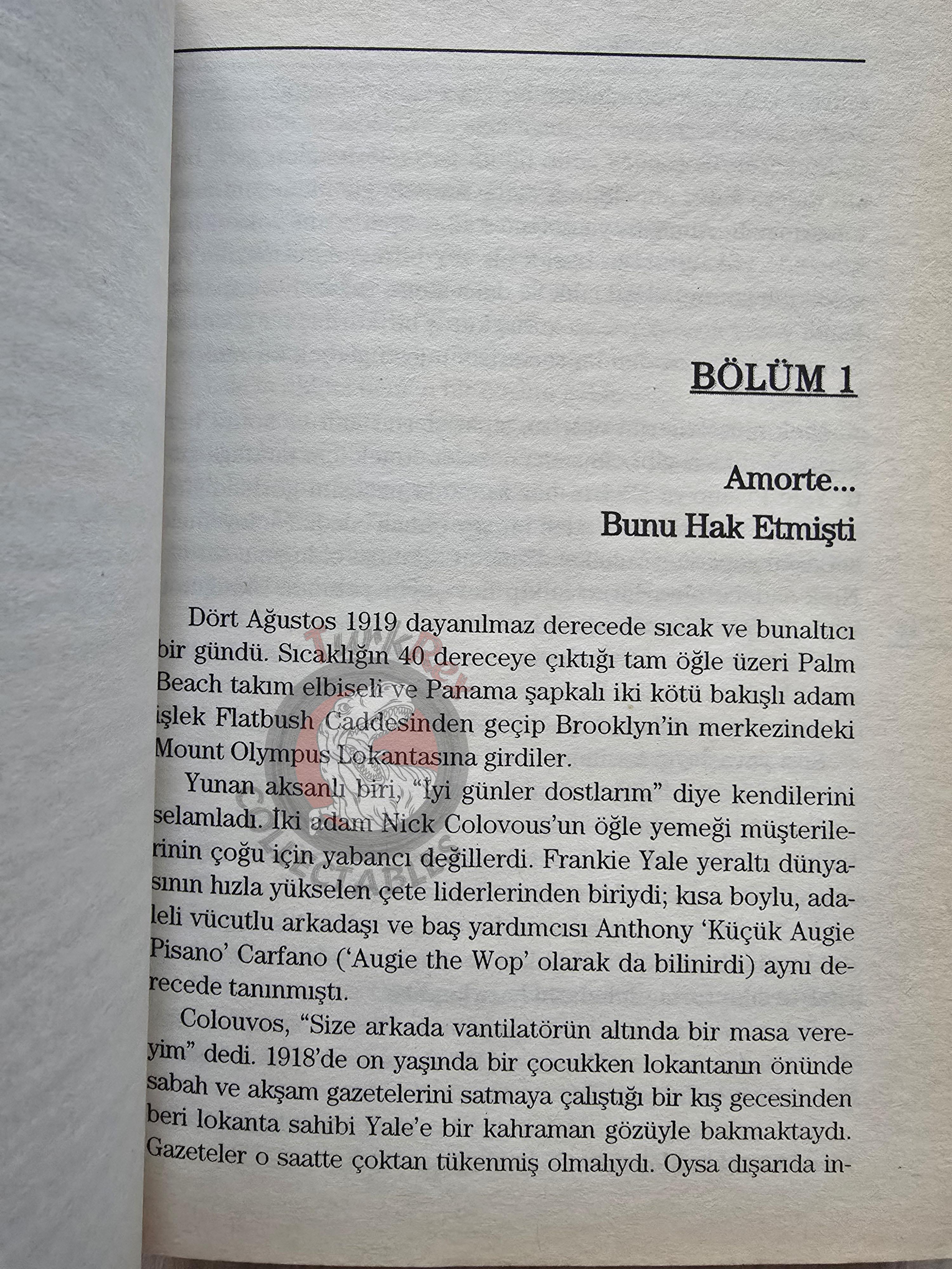 William Balsamo – The Mafia: The First 100 Years 2006 Turkish Book Turkey