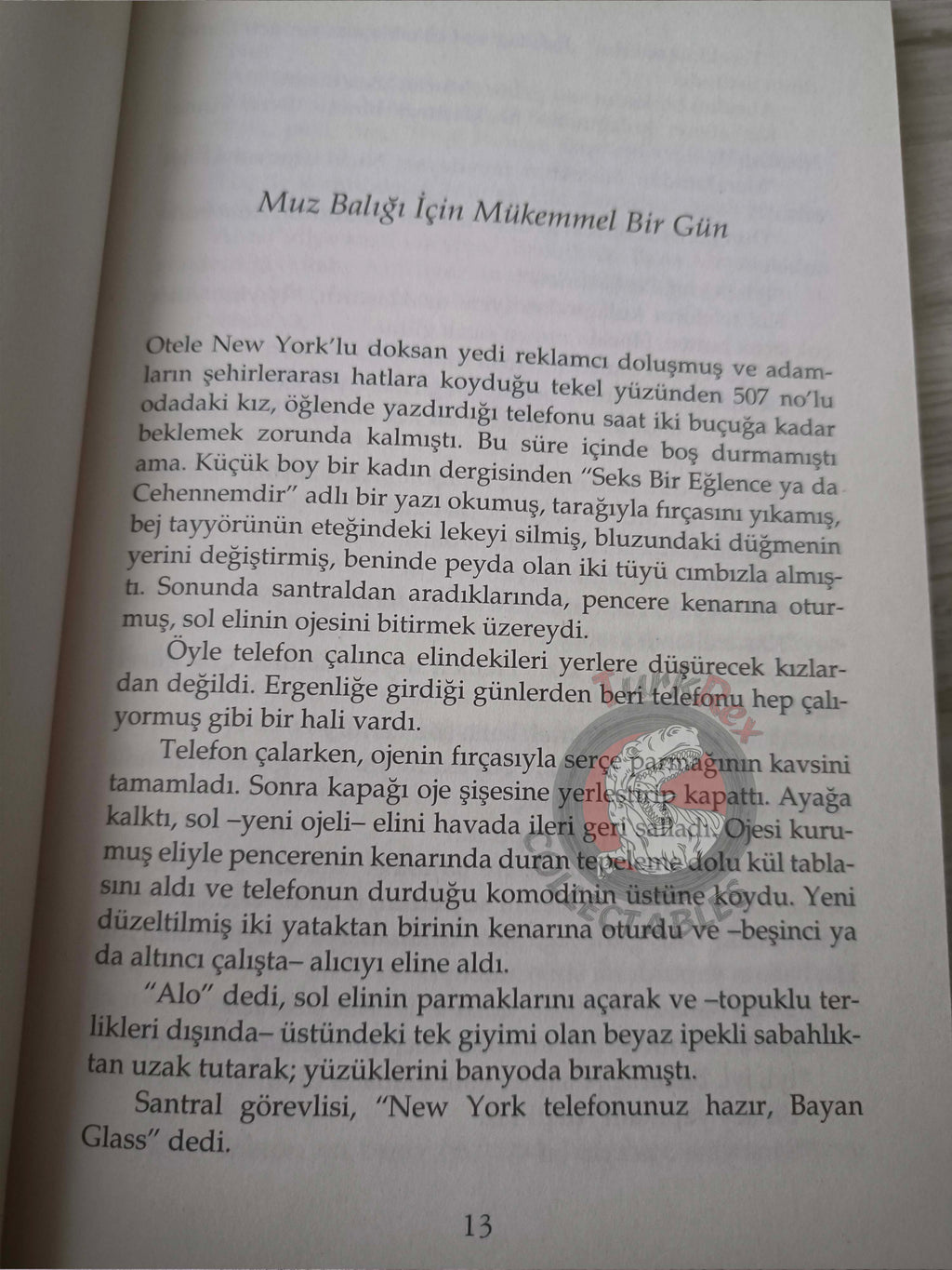 J. D. Salinger – Nine Stories Turkish Book Turkey