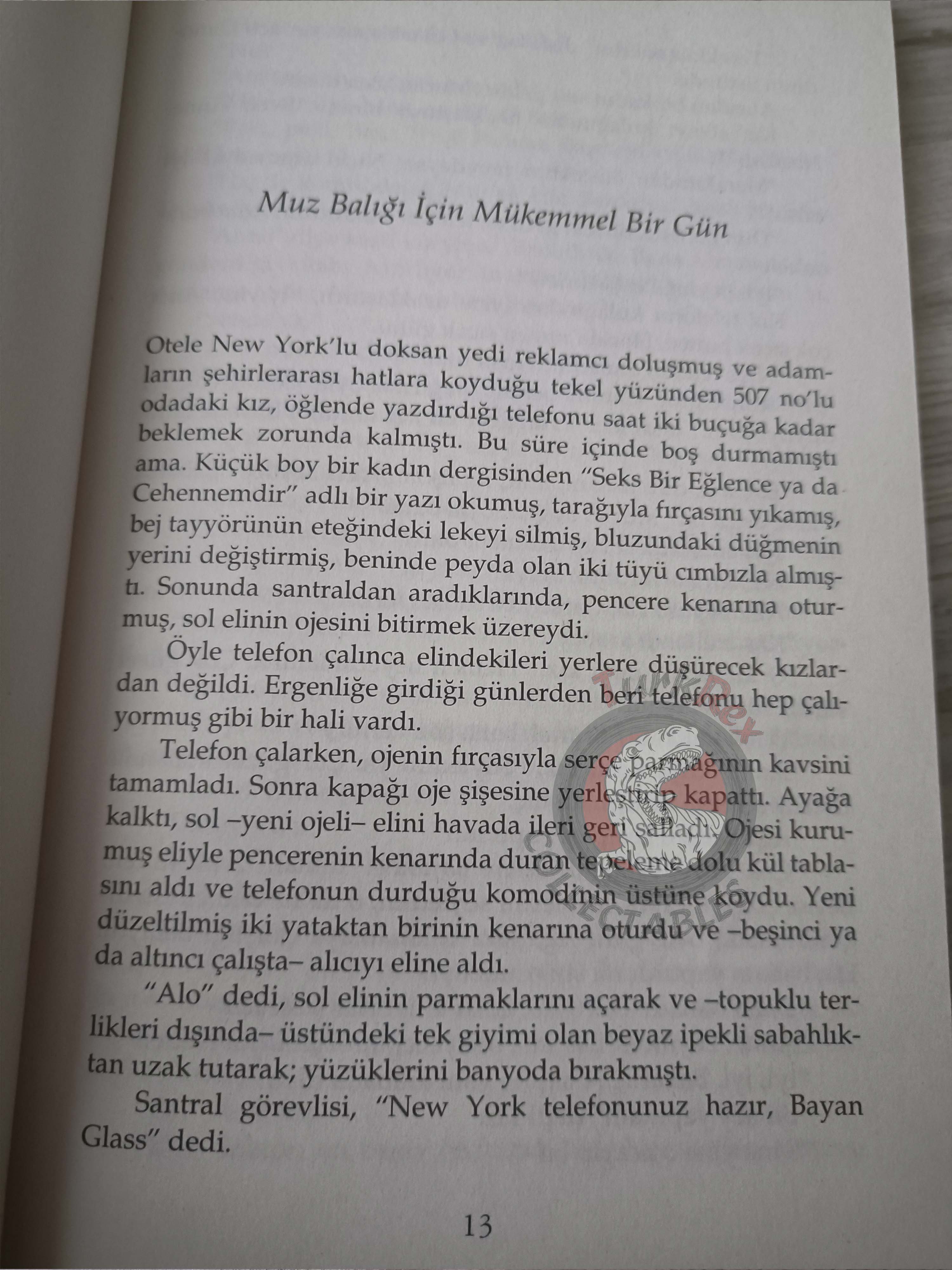 J. D. Salinger – Nine Stories Turkish Book Turkey