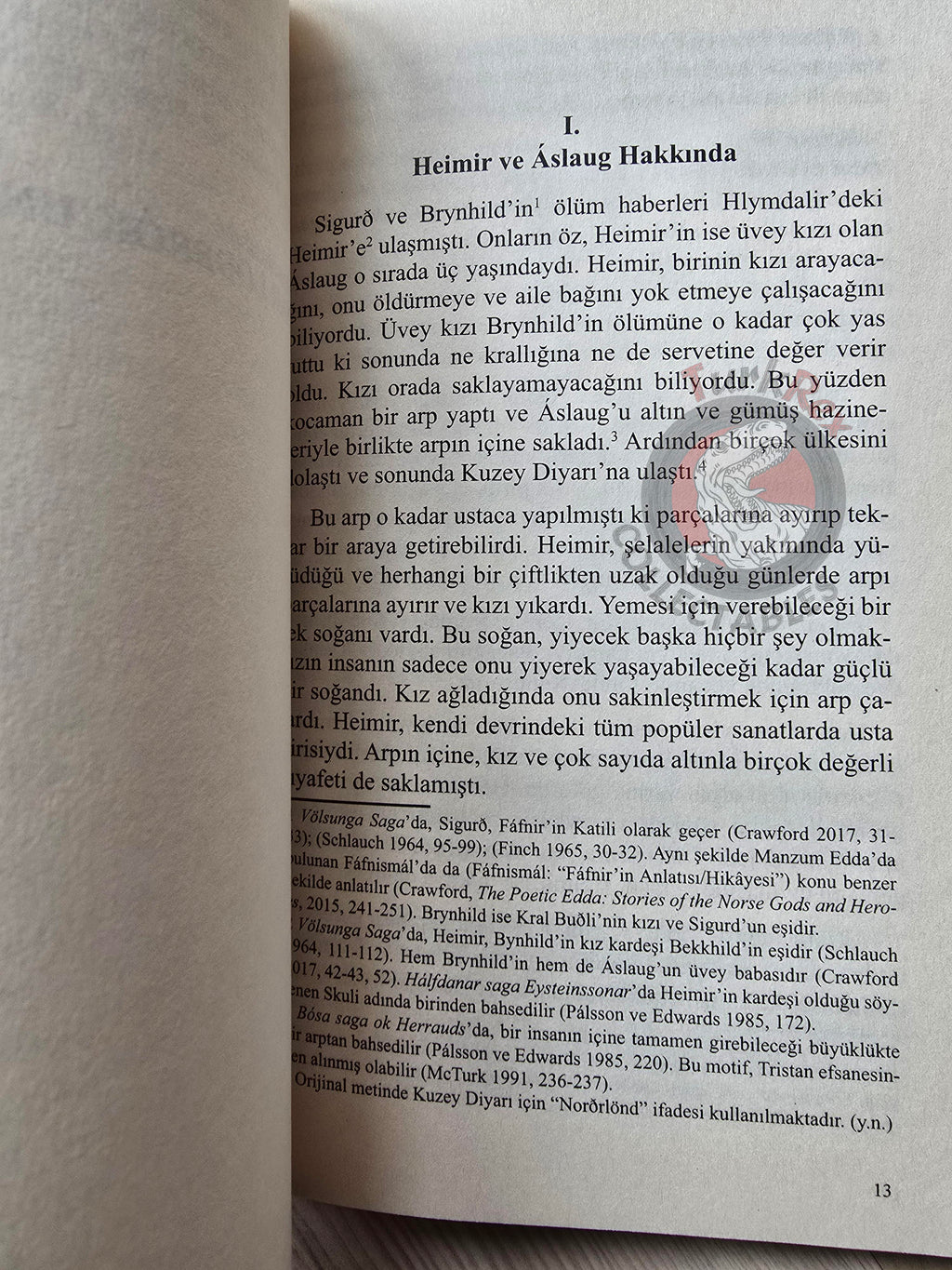 The Tale of Ragnar Lodbrok 2021 Turkish Book Turkey Viking
