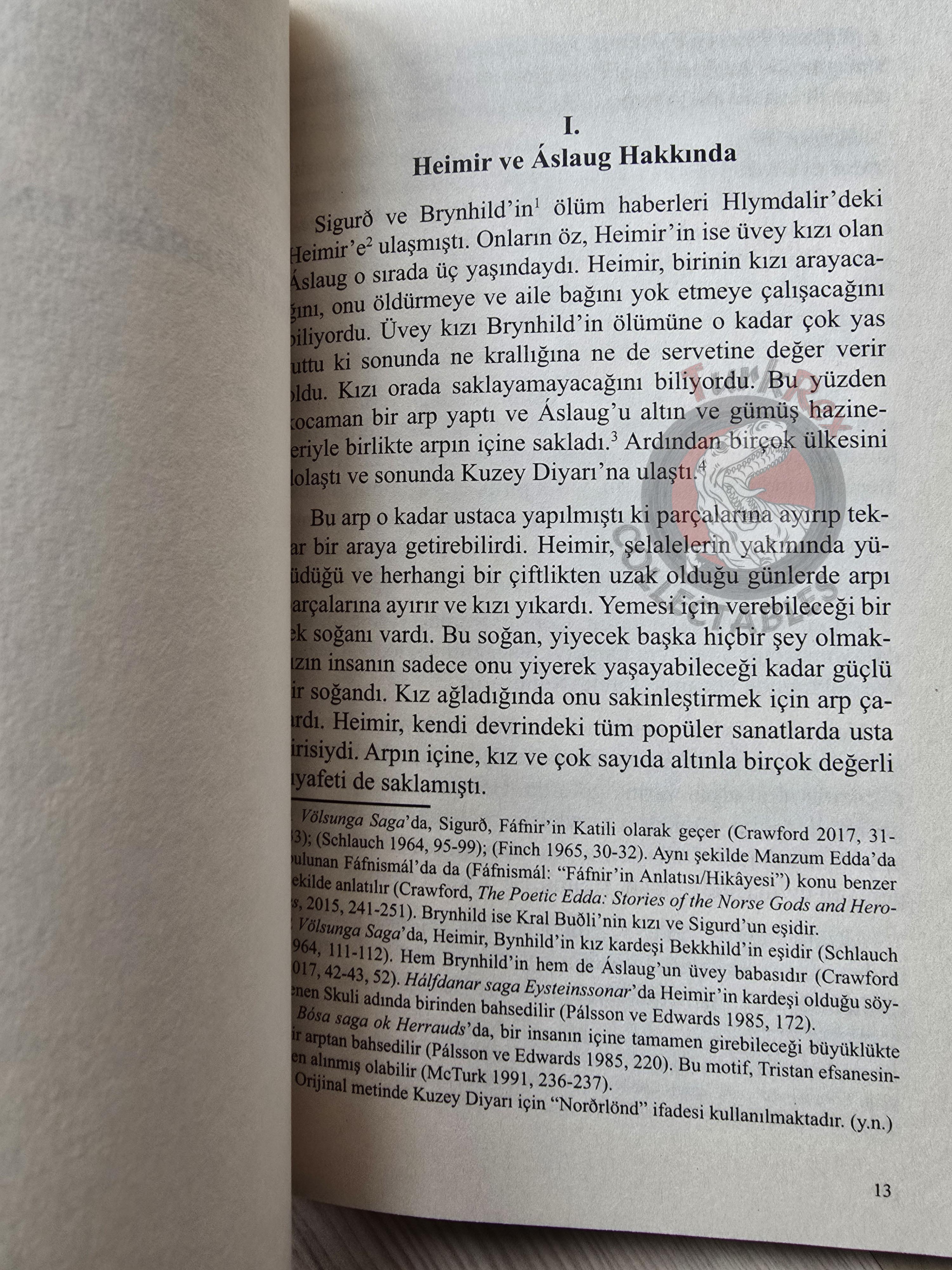 The Tale of Ragnar Lodbrok 2021 Turkish Book Turkey Viking