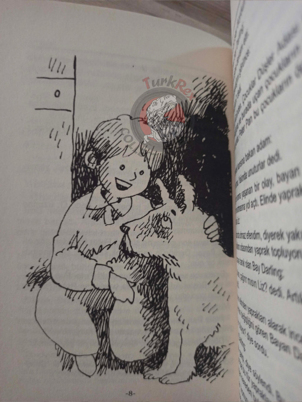 J. M. Barrie – Peter Pan 2011 Turkish Book Turkey Illustrated 2
