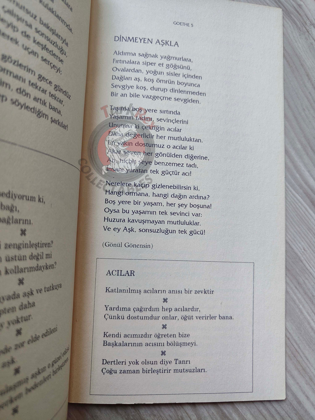 Johann Wolfgang von Goethe – Selected Poems Turkish Book Turkey