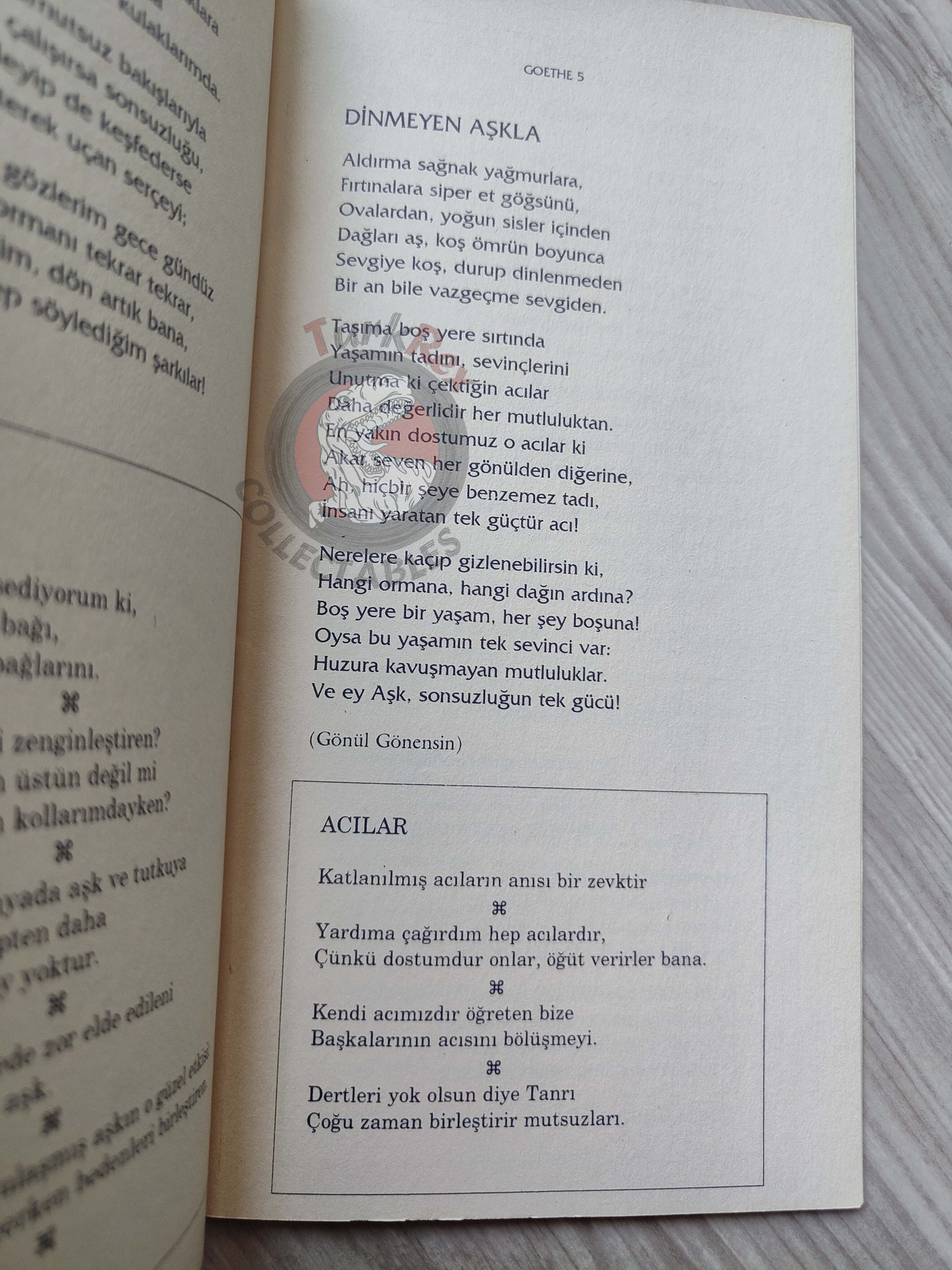 Johann Wolfgang von Goethe – Selected Poems Turkish Book Turkey
