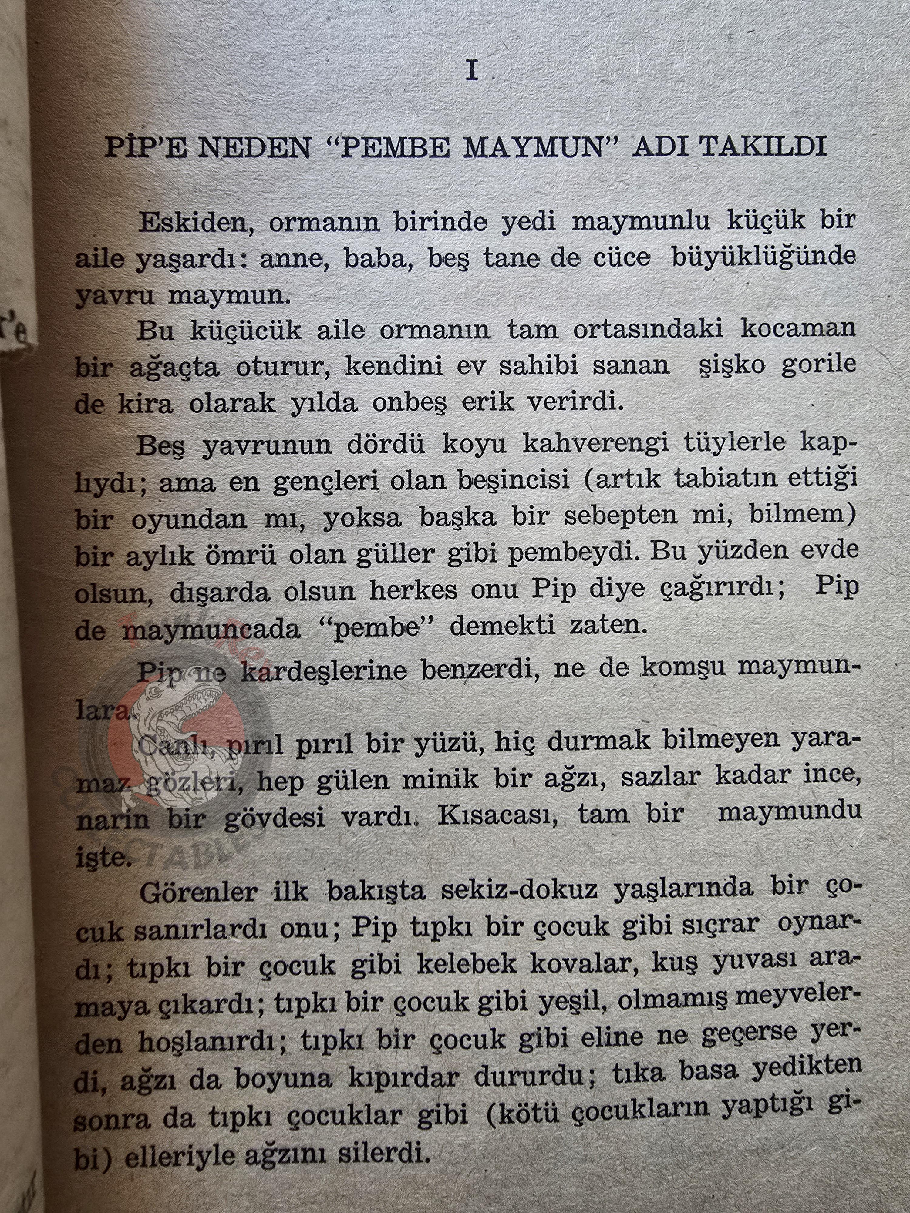 Carlo Collodi – Adventures Of Pipi The Pink Monkey 1961 Turkish Book Turkey Illustrated