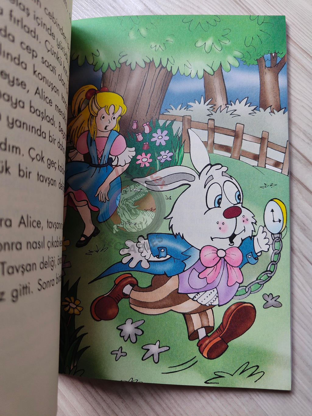 Lewis Carroll – Alice in Wonderland 2009 Turkish Book Turkey Illustrated Gülinaz