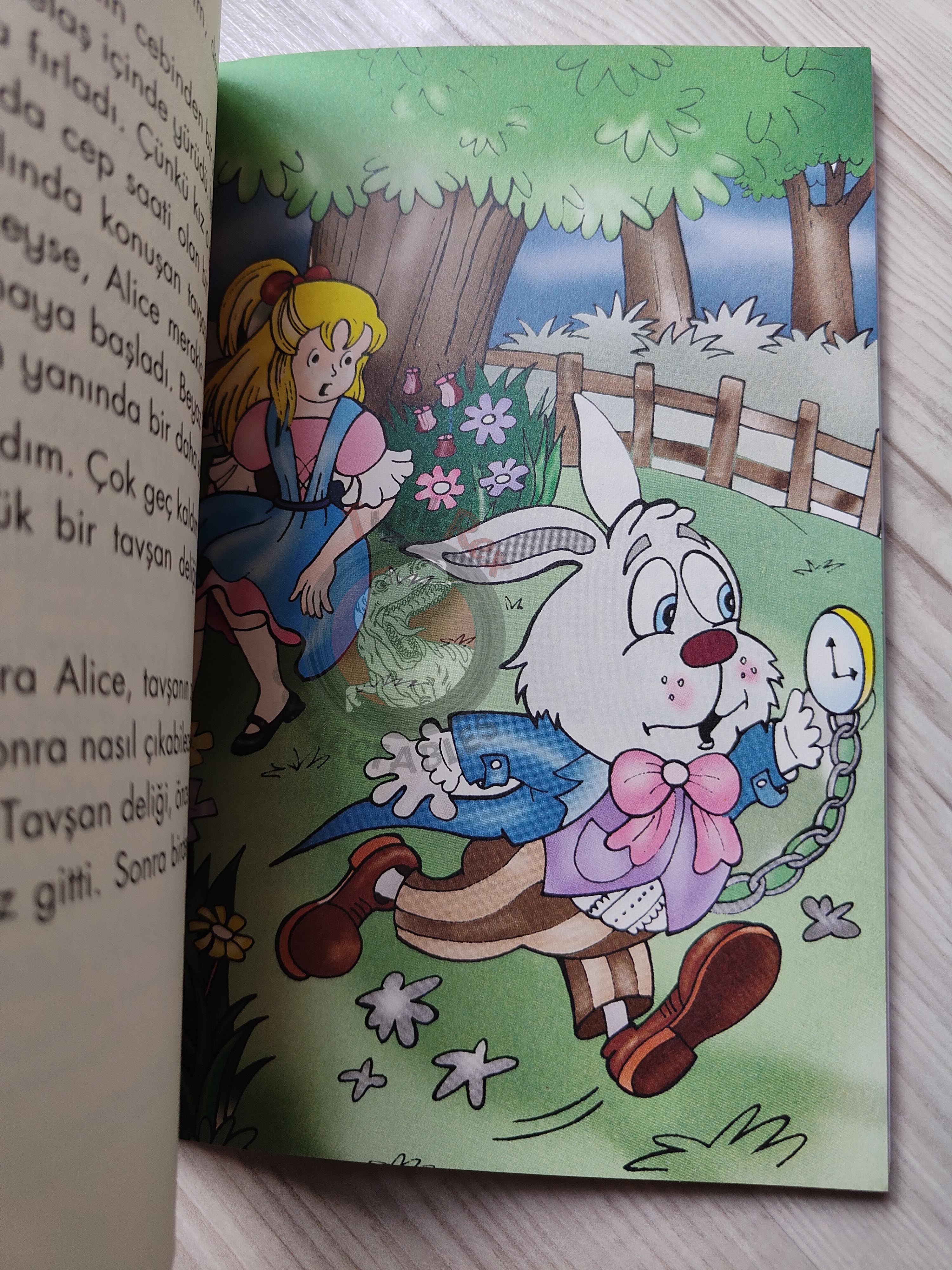 Lewis Carroll – Alice in Wonderland 2009 Turkish Book Turkey Illustrated Gülinaz