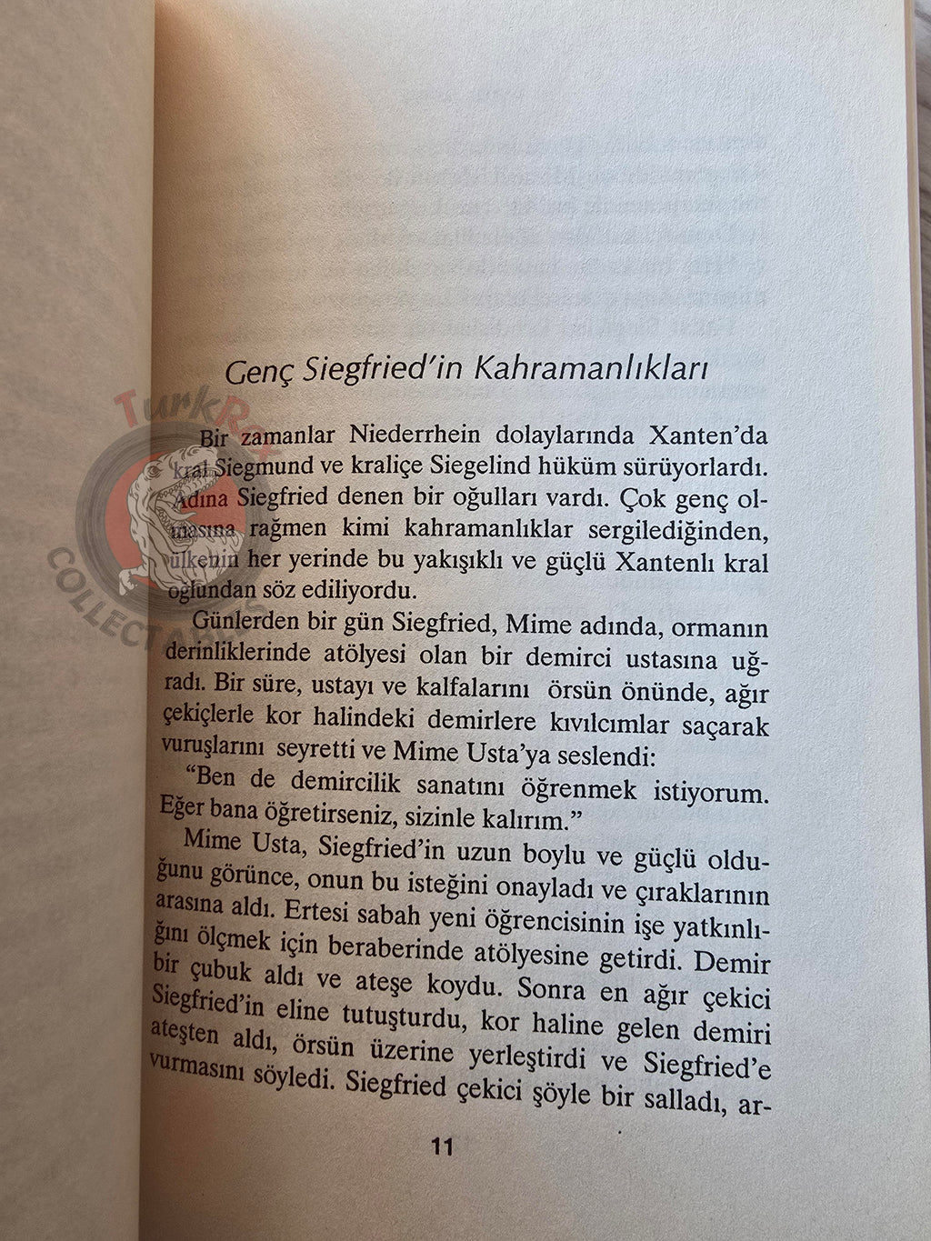 Nibelungenlied Siegfried 2001 Turkish Book Turkey