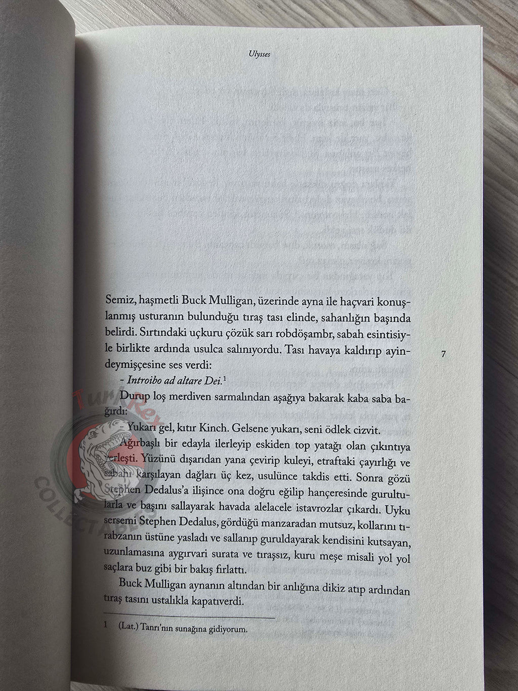 James Joyce – Ulysses Turkish Book Turkey