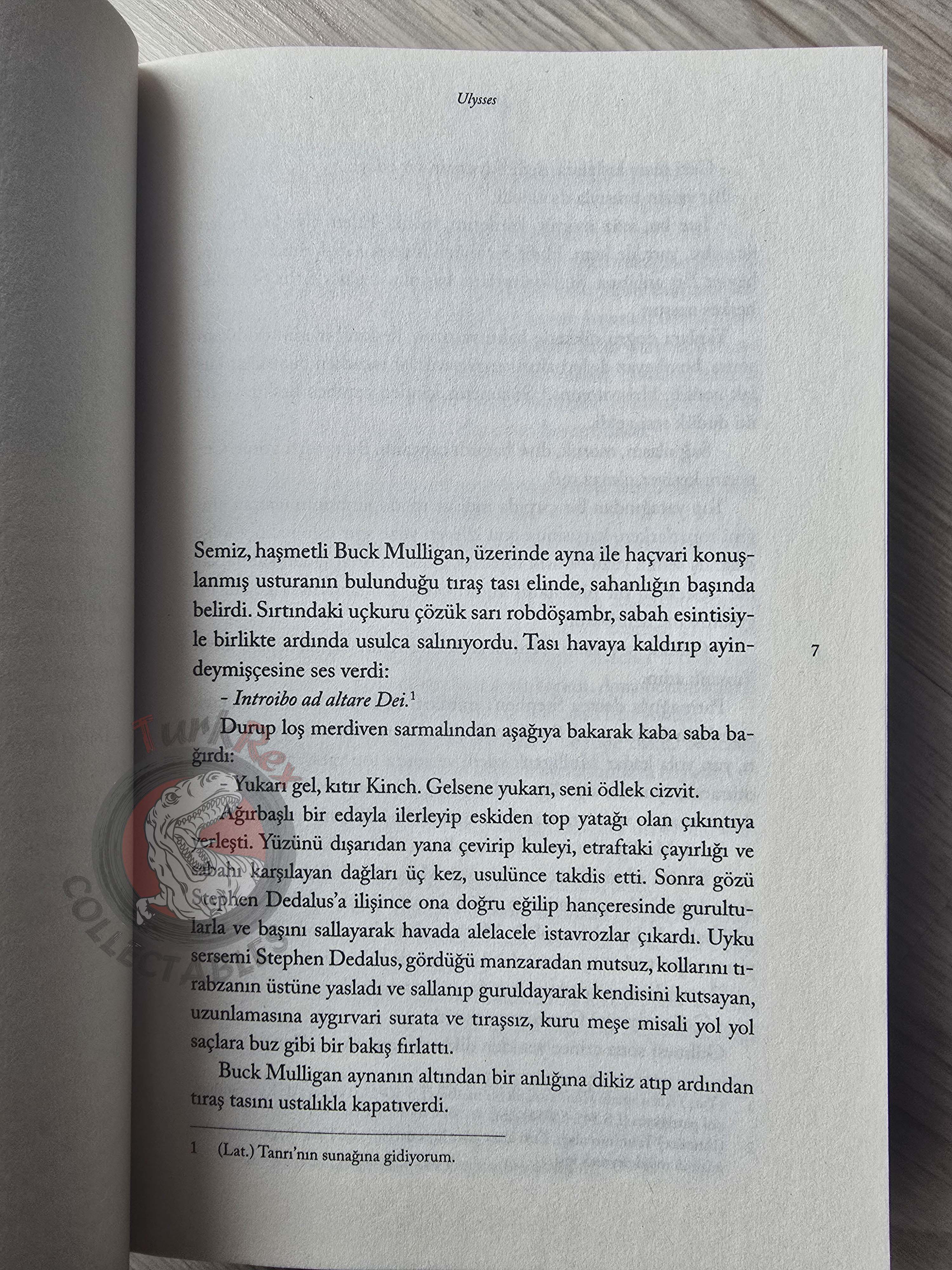 James Joyce – Ulysses Turkish Book Turkey