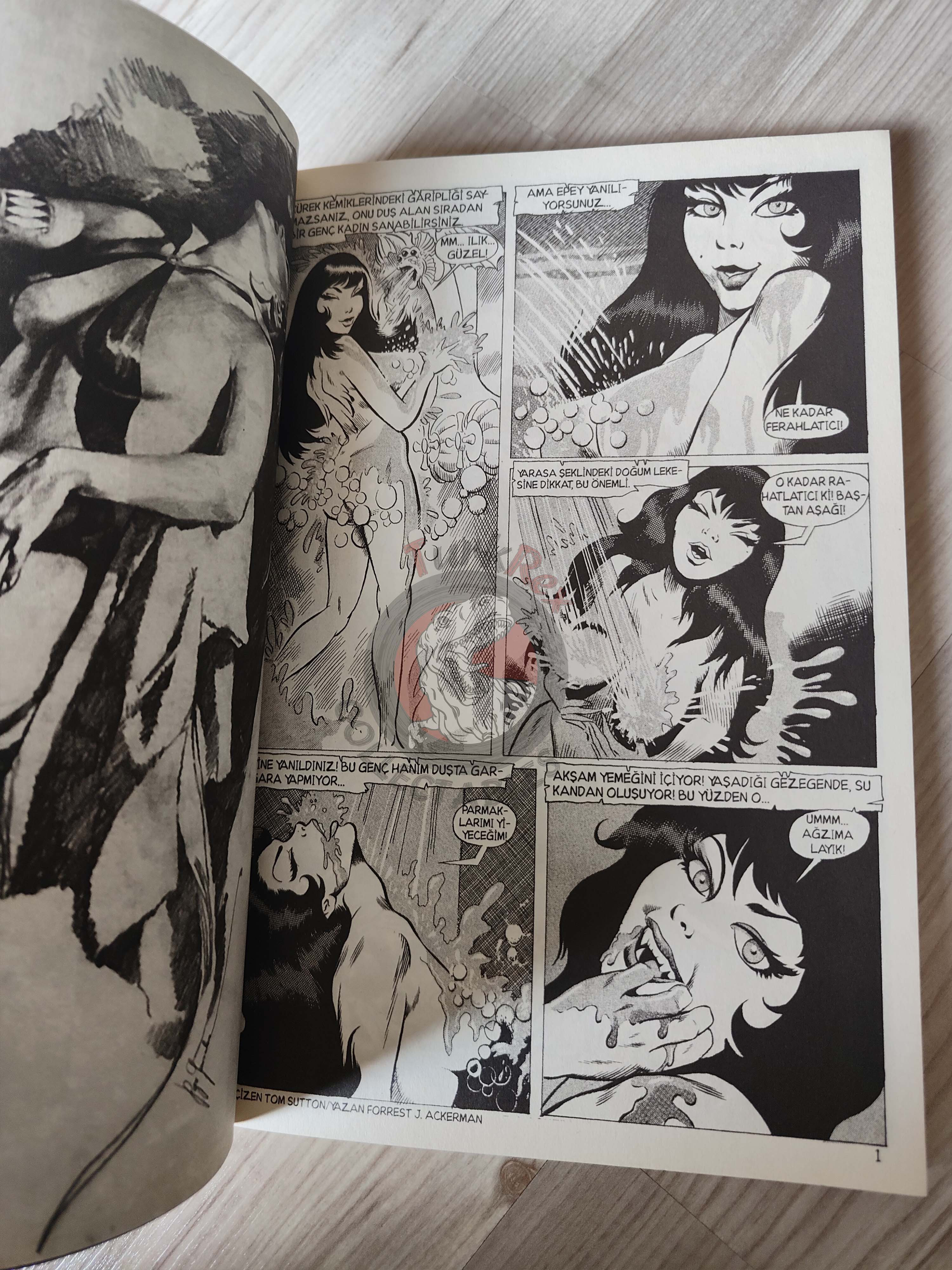 Vampirella Crimson Chronicles #1 2010 Turkish Comic Turkey Jim Silke