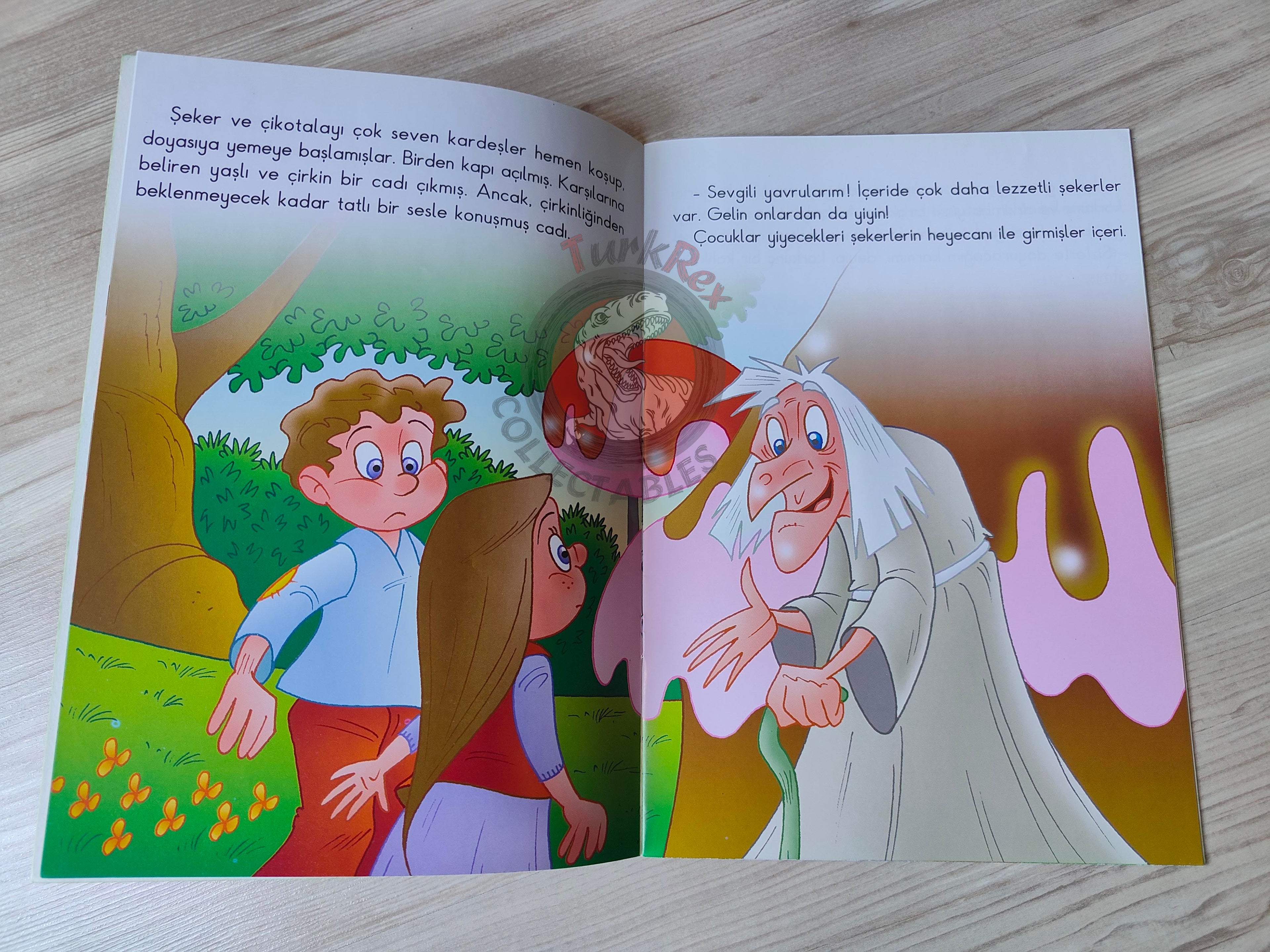 Grimm Brothers –  Hansel and Gretel 2011 Turkish Book Turkey Illustrated
