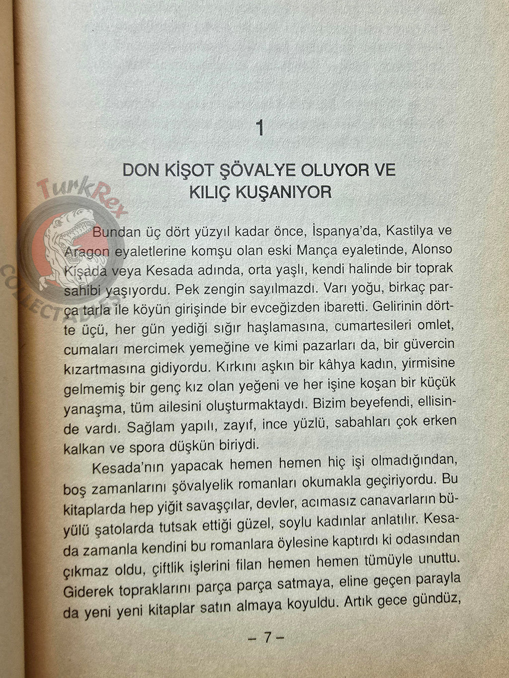 Miguel de Cervantes – Don Quixote 2001 Turkish Book Turkey