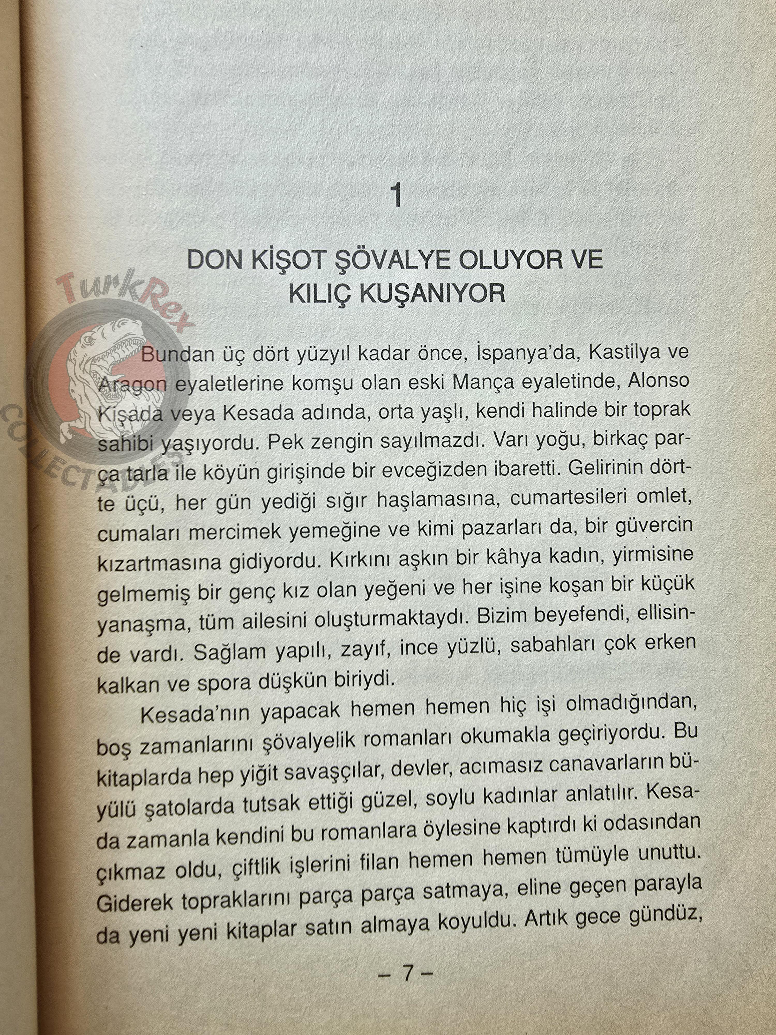 Miguel de Cervantes – Don Quixote 2001 Turkish Book Turkey