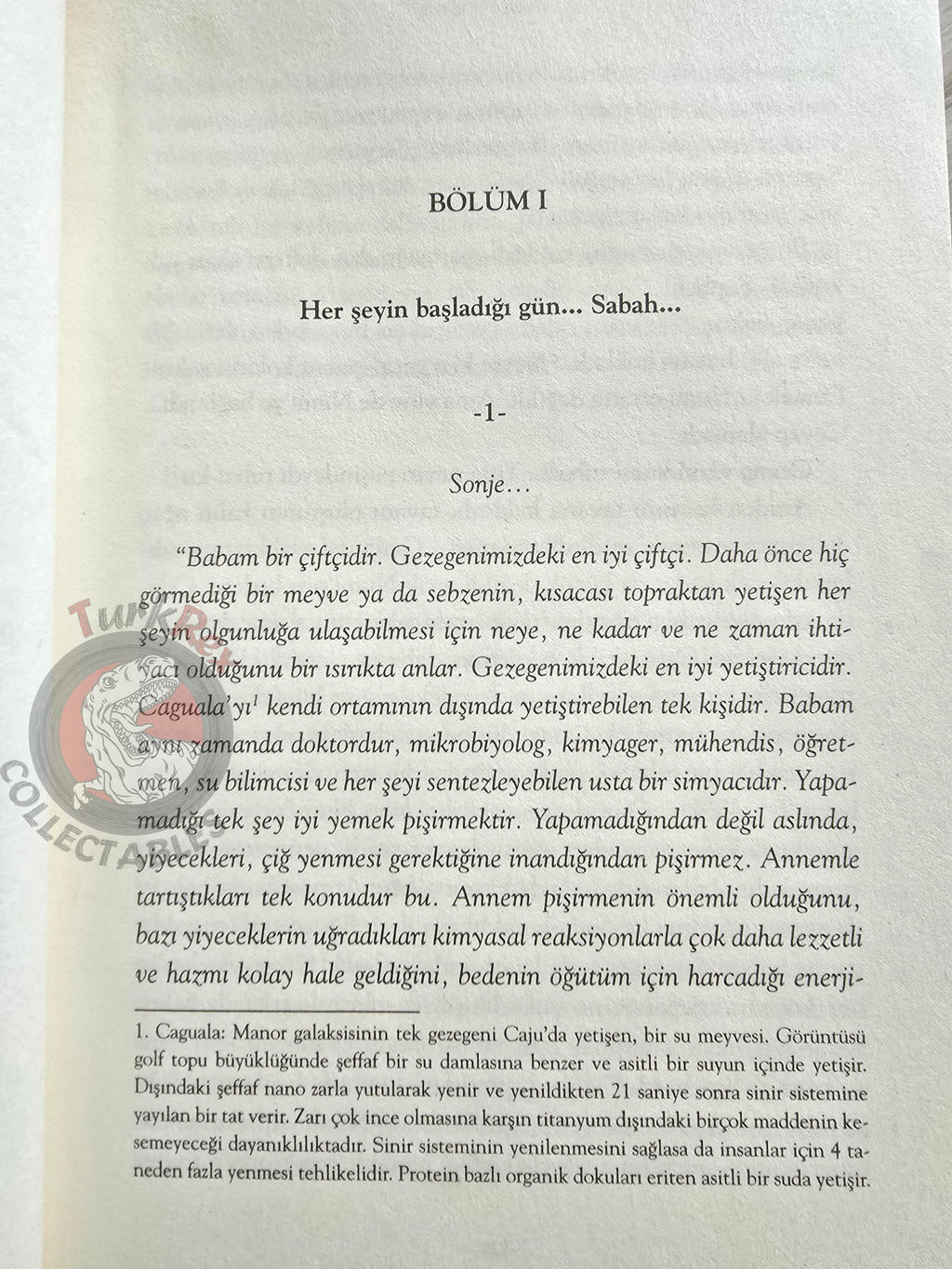 Akilah Azra Kohen – Aeden 2017 Turkish Book Turkey