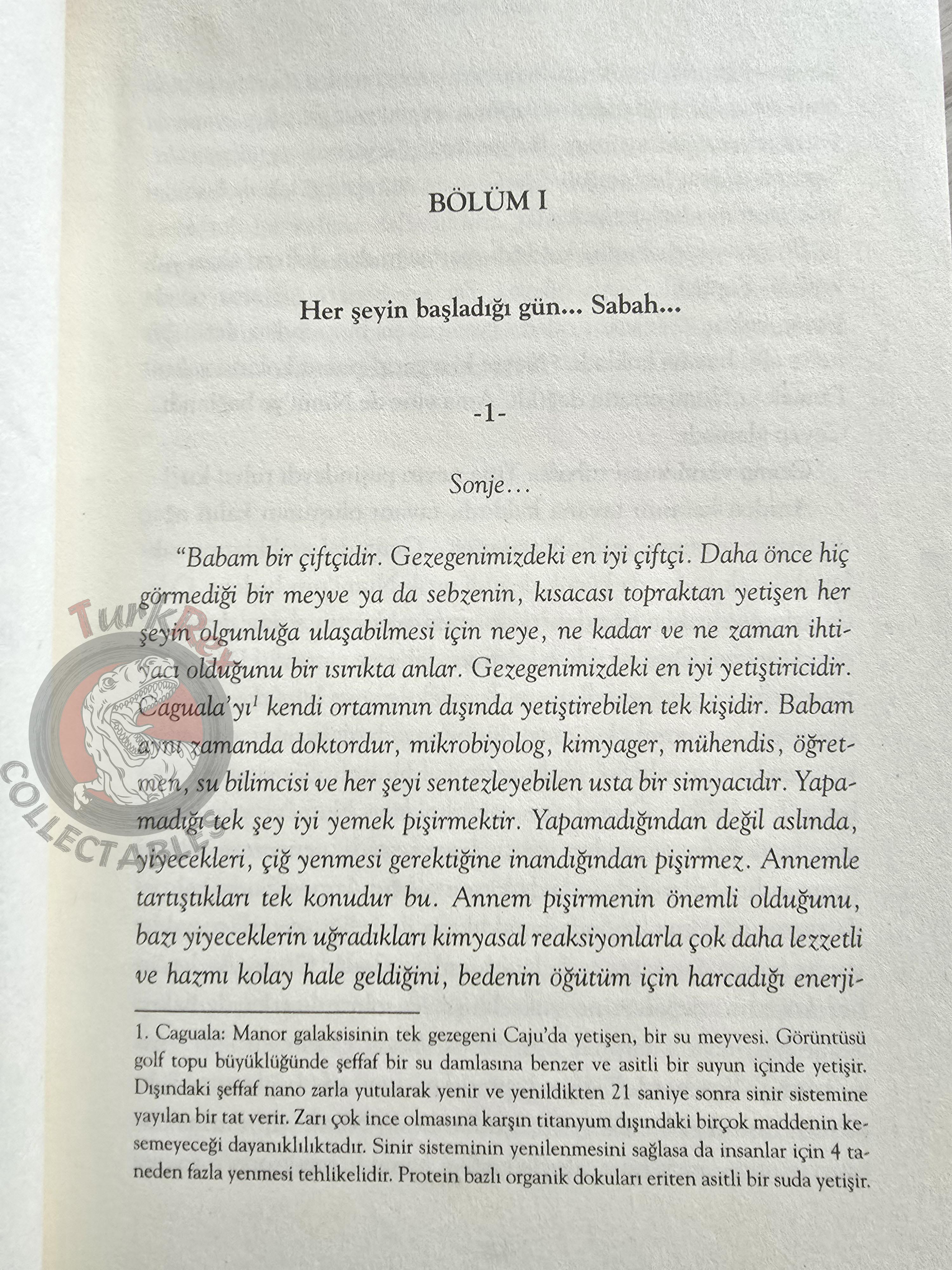 Akilah Azra Kohen – Aeden 2017 Turkish Book Turkey