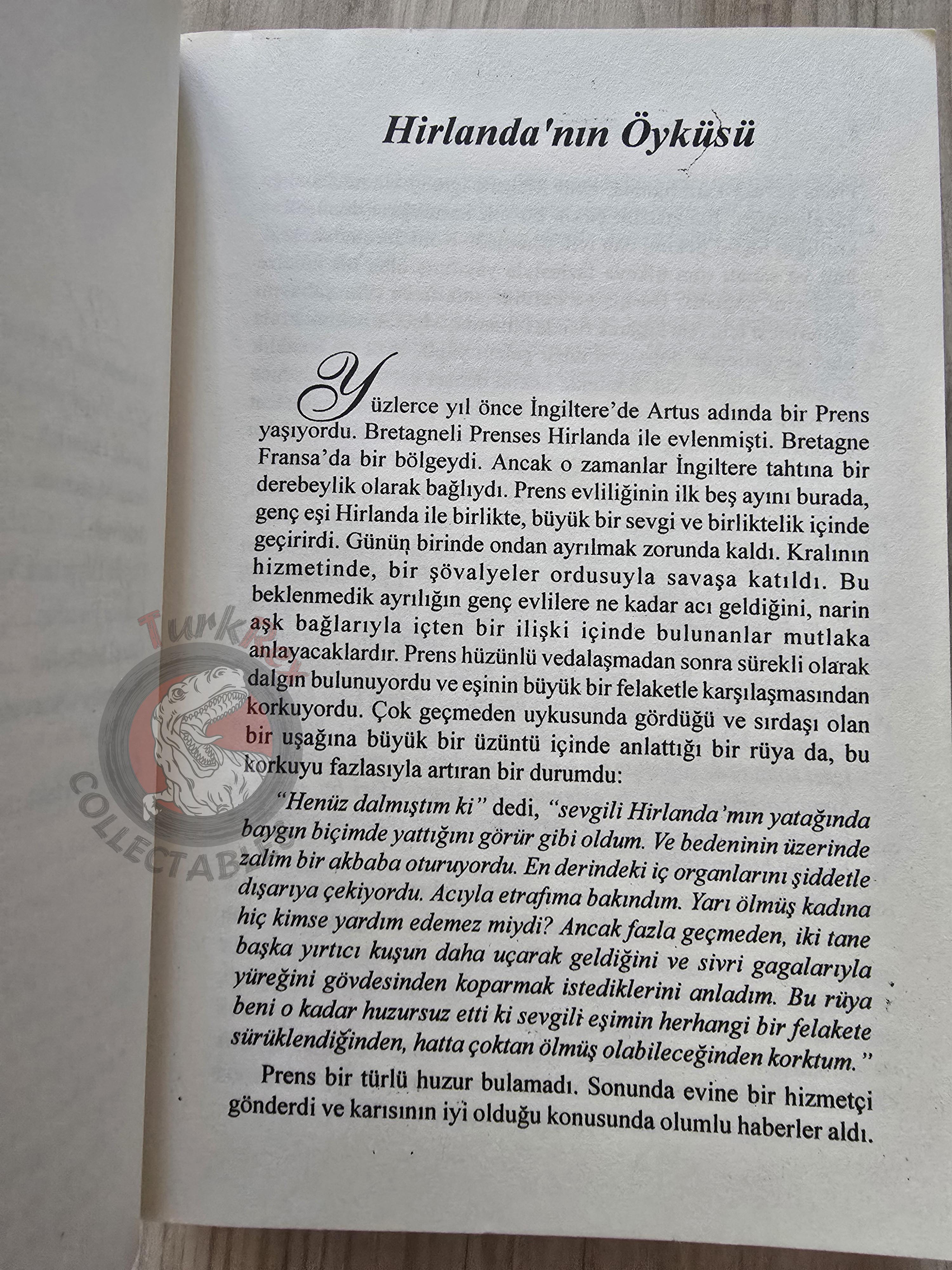 Gustav Schwab – Legends of the Middle Ages 2015 Turkish Book Turkey