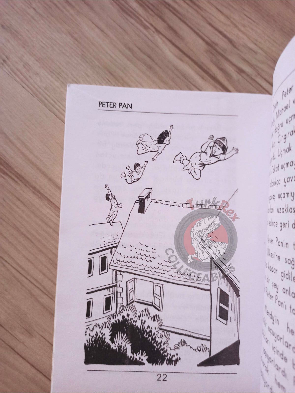 J. M. Barrie – Peter Pan 2004 Turkish Book Turkey Illustrated