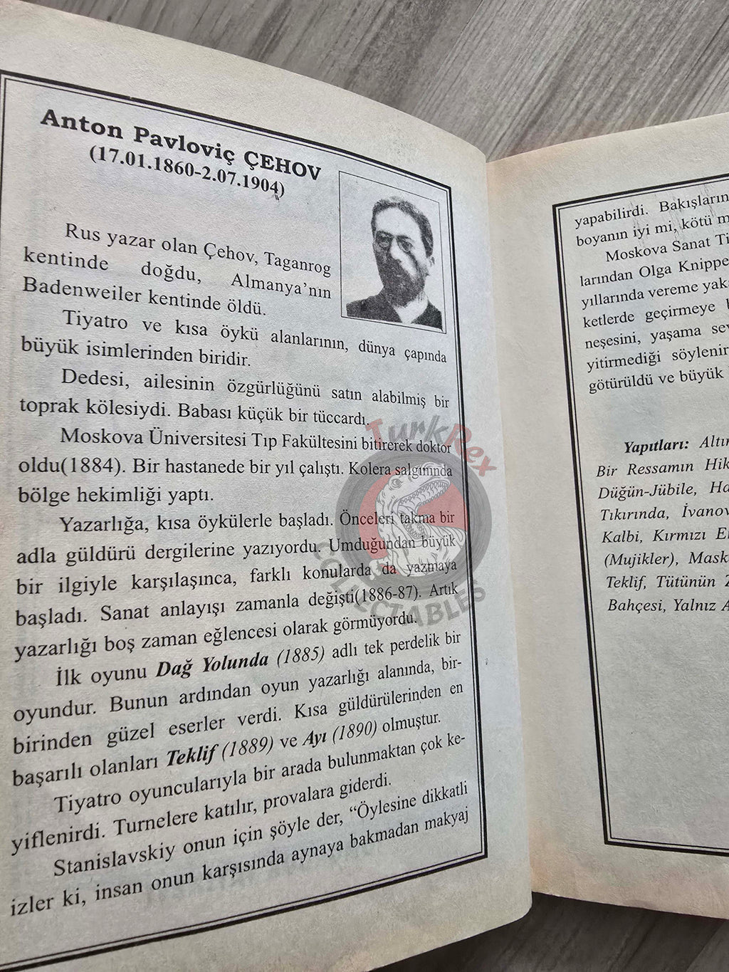 Anton Chekhov – Short Stories Turkish Book Turkey