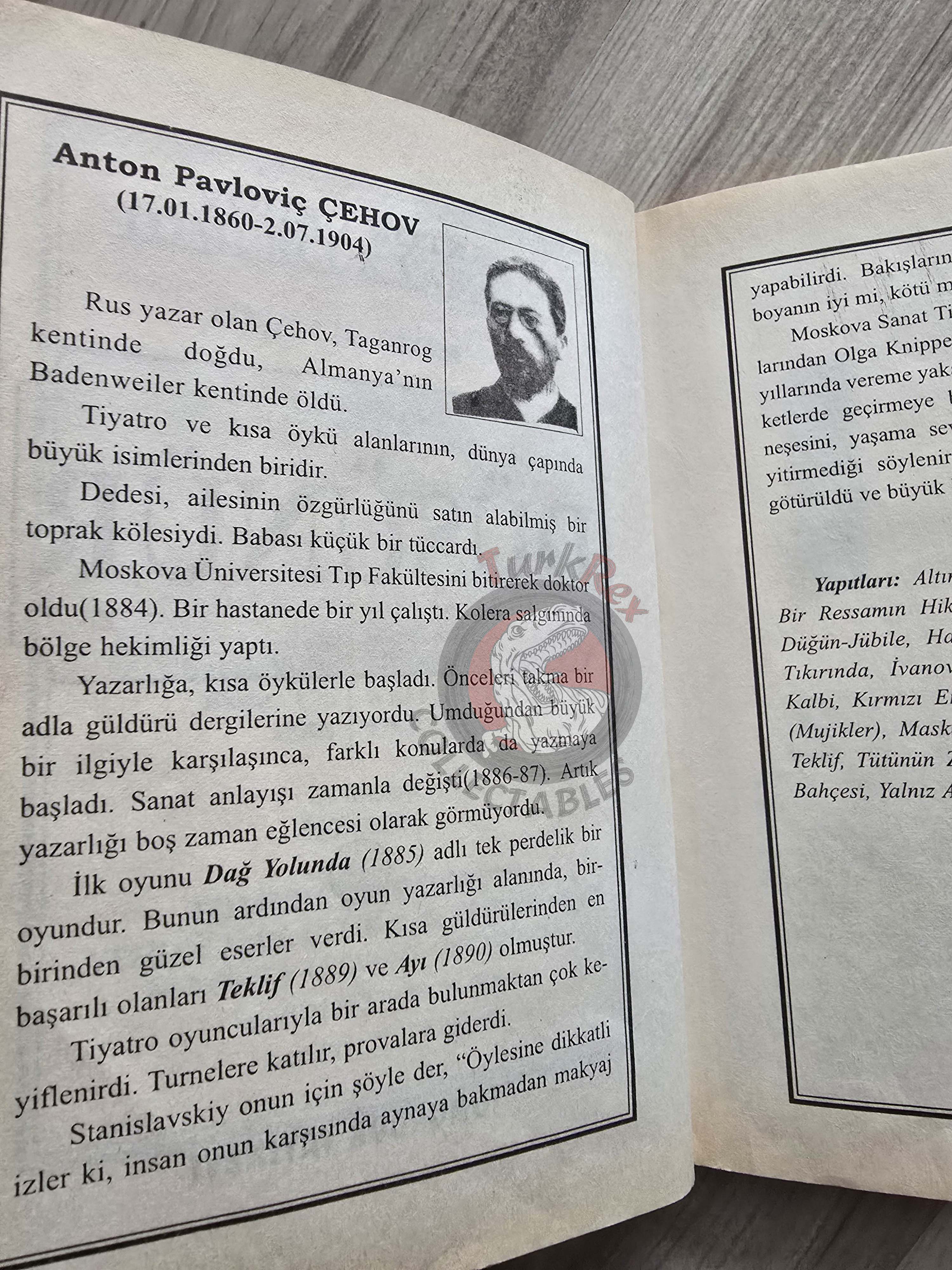 Anton Chekhov – Short Stories Turkish Book Turkey