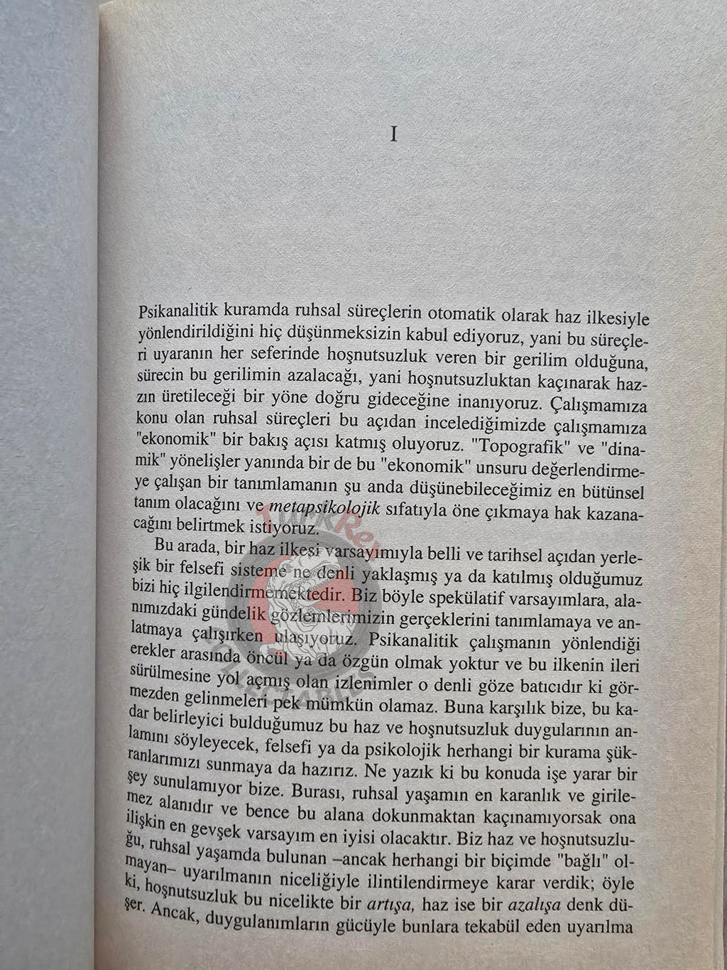 Sigmund Freud – Beyond the Pleasure Principle 2001 Turkish Book Turkey