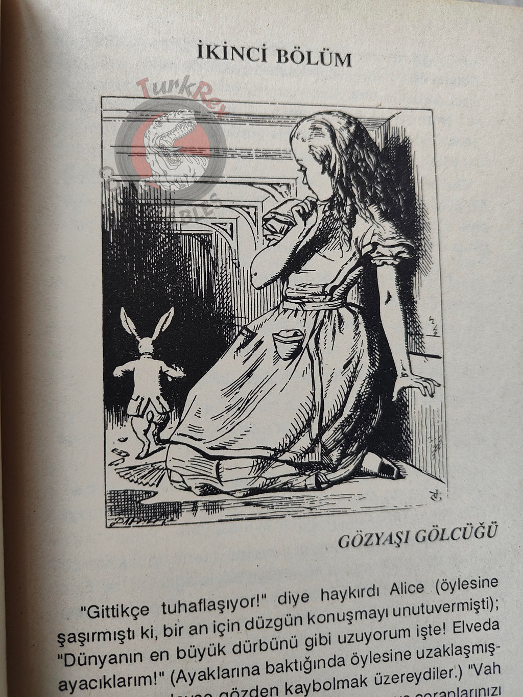 Lewis Carroll – Alice in Wonderland 1992 Turkish Book Turkey Illustrated John Tenniel