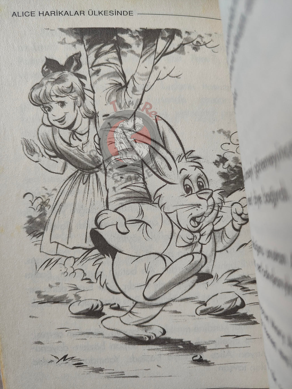 Lewis Carroll – Alice in Wonderland 2005 Turkish Book Turkey Illustrated
