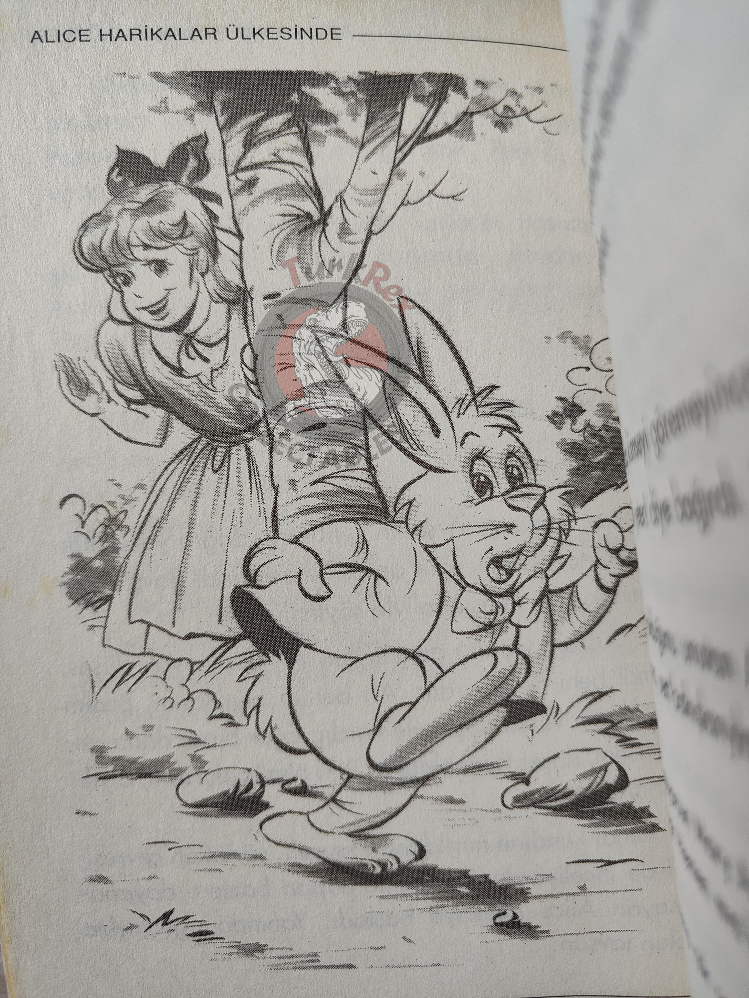 Lewis Carroll – Alice in Wonderland 2005 Turkish Book Turkey Illustrated