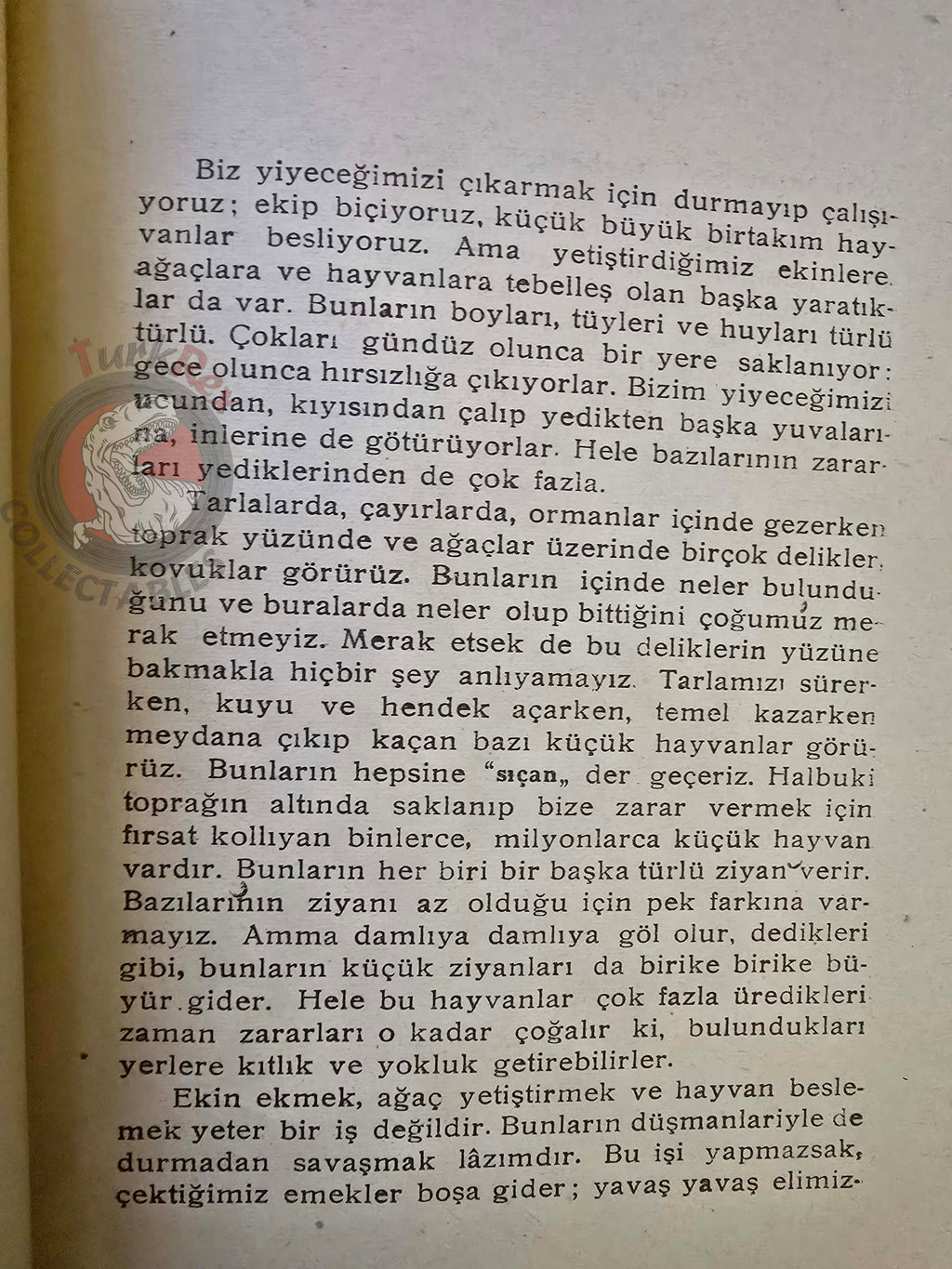 Rodents  1948 Turkish Book Turkey Illustrated Education Animal Species
