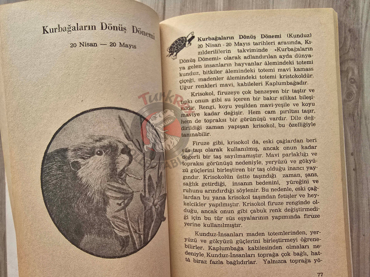 Sun Bear & Wabun – The Medicine Wheel: Earth Astrology 1984 1st Turkish Book Turkey