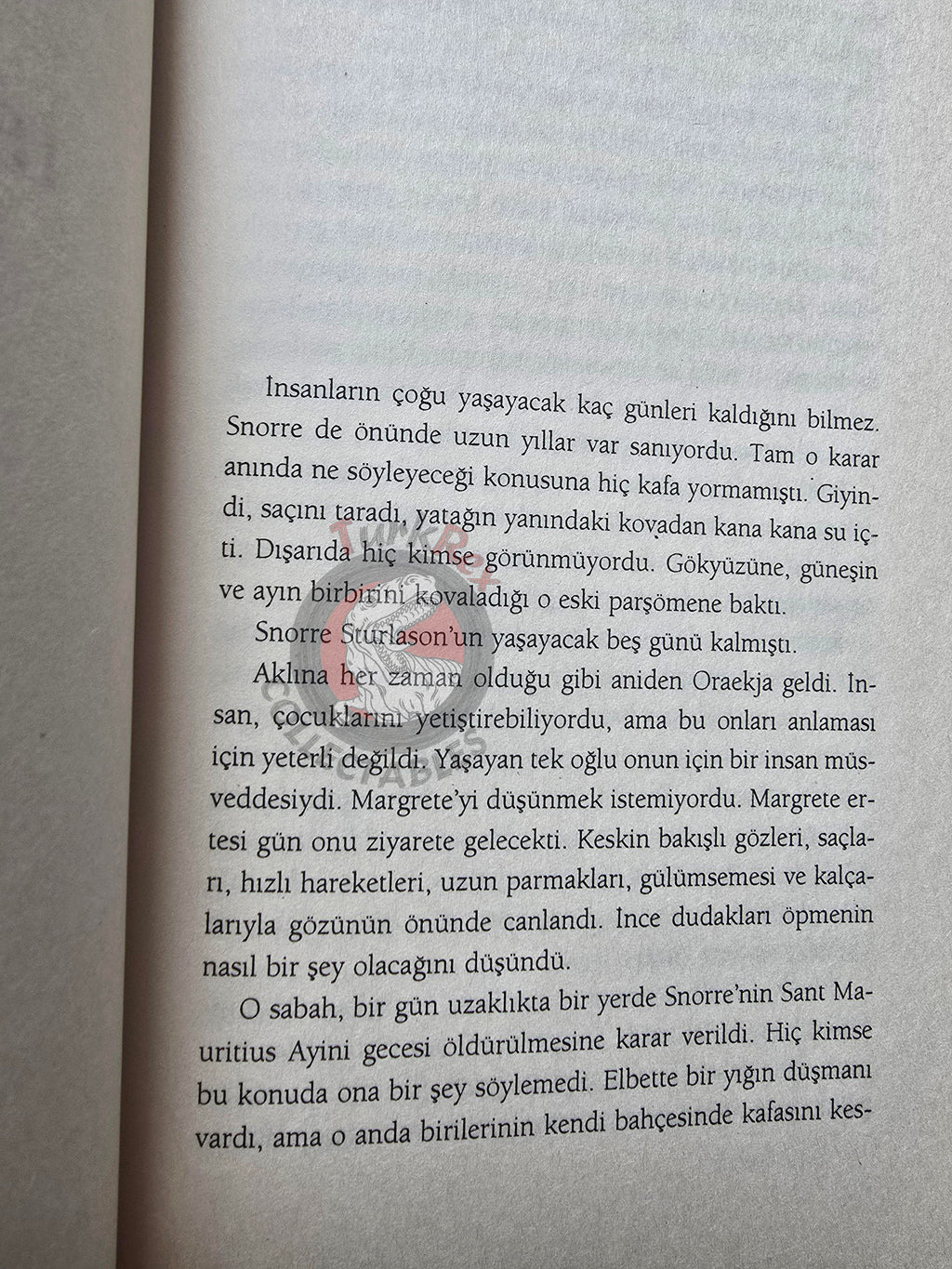 Thorvald Steen – The Little Horse 2005 1st Turkish Book Turkey