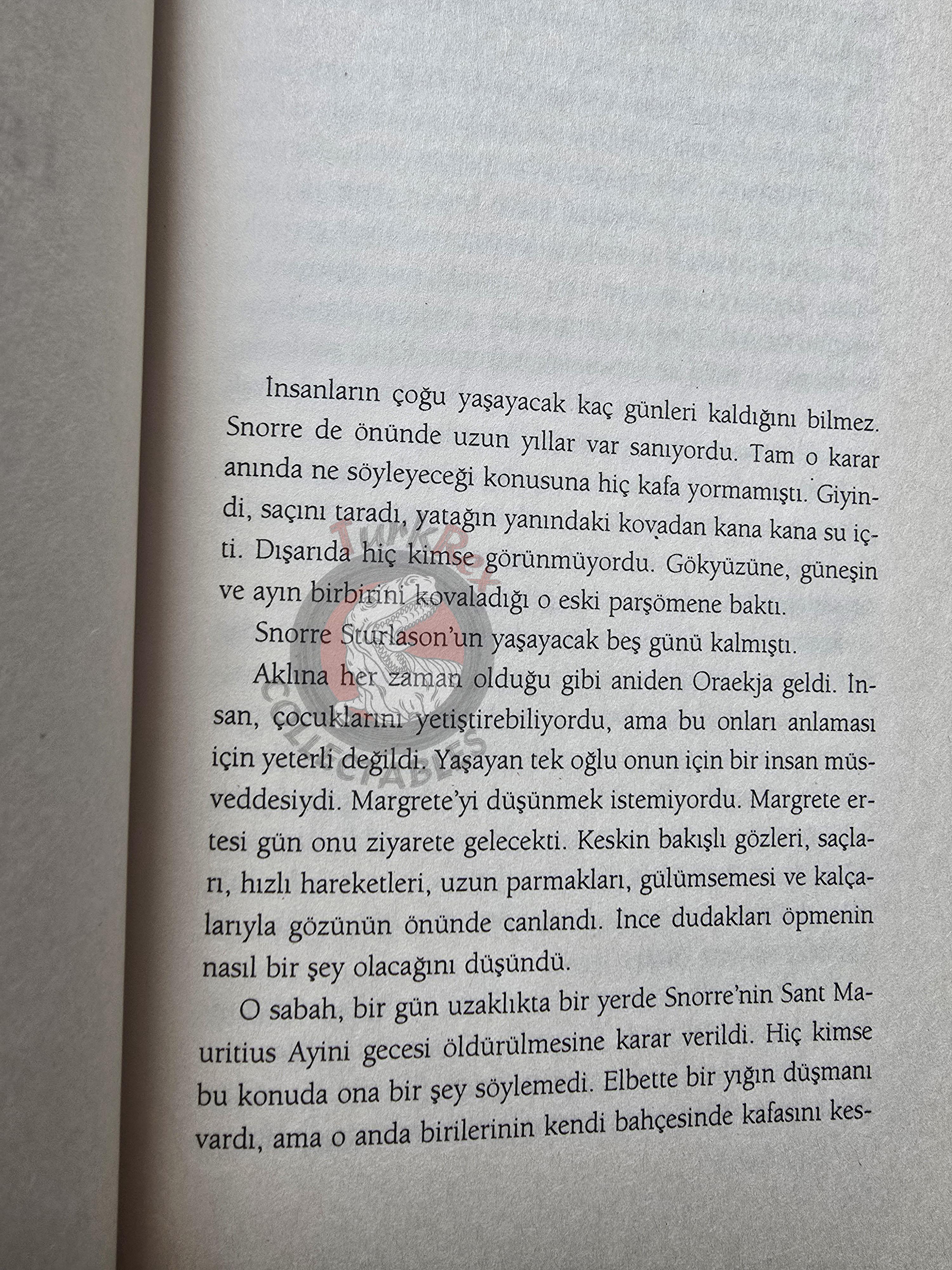 Thorvald Steen – The Little Horse 2005 1st Turkish Book Turkey