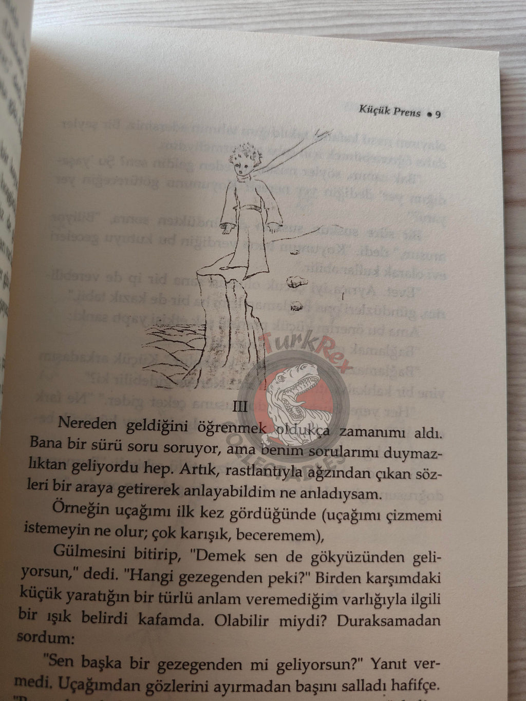 Antoine de Saint-Exupéry – Le Petit Prince 2008 Turkish Book Turkey Illustrated Little 2