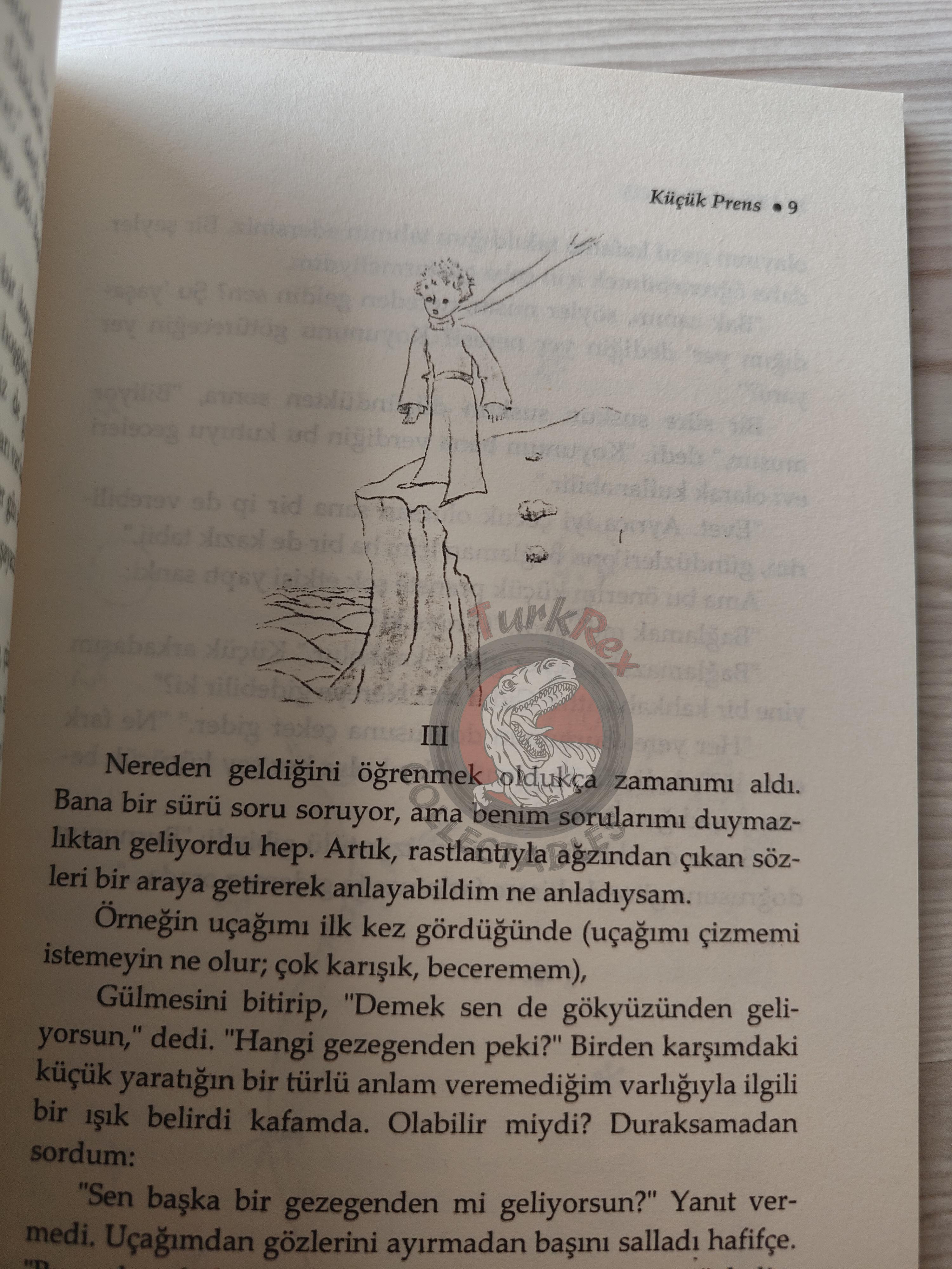 Antoine de Saint-Exupéry – Le Petit Prince 2008 Turkish Book Turkey Illustrated Little 2