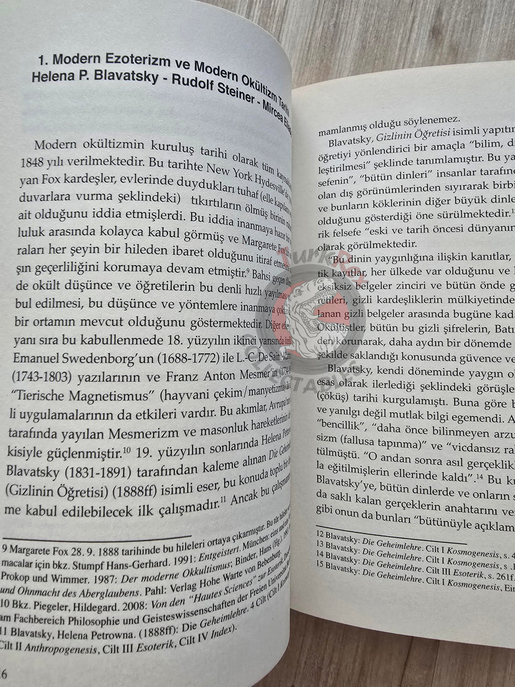 Hartmut Zinser – Introduction to Esotericism 2011 Turkish Book Turkey