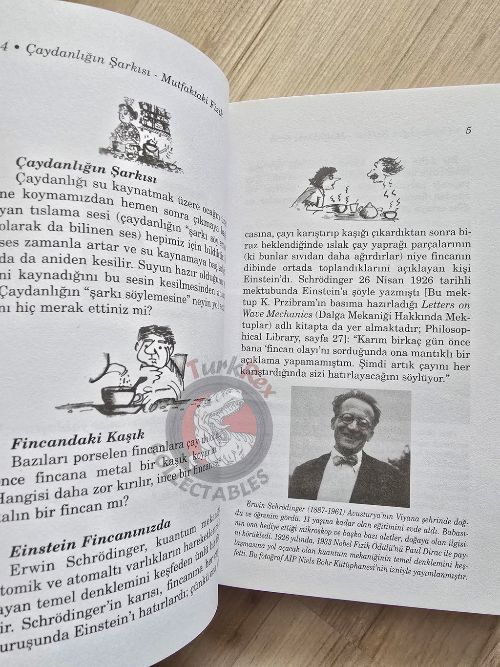 Partha Ghose – Riddles In Your Teacup 2008 Turkish Book Turkey