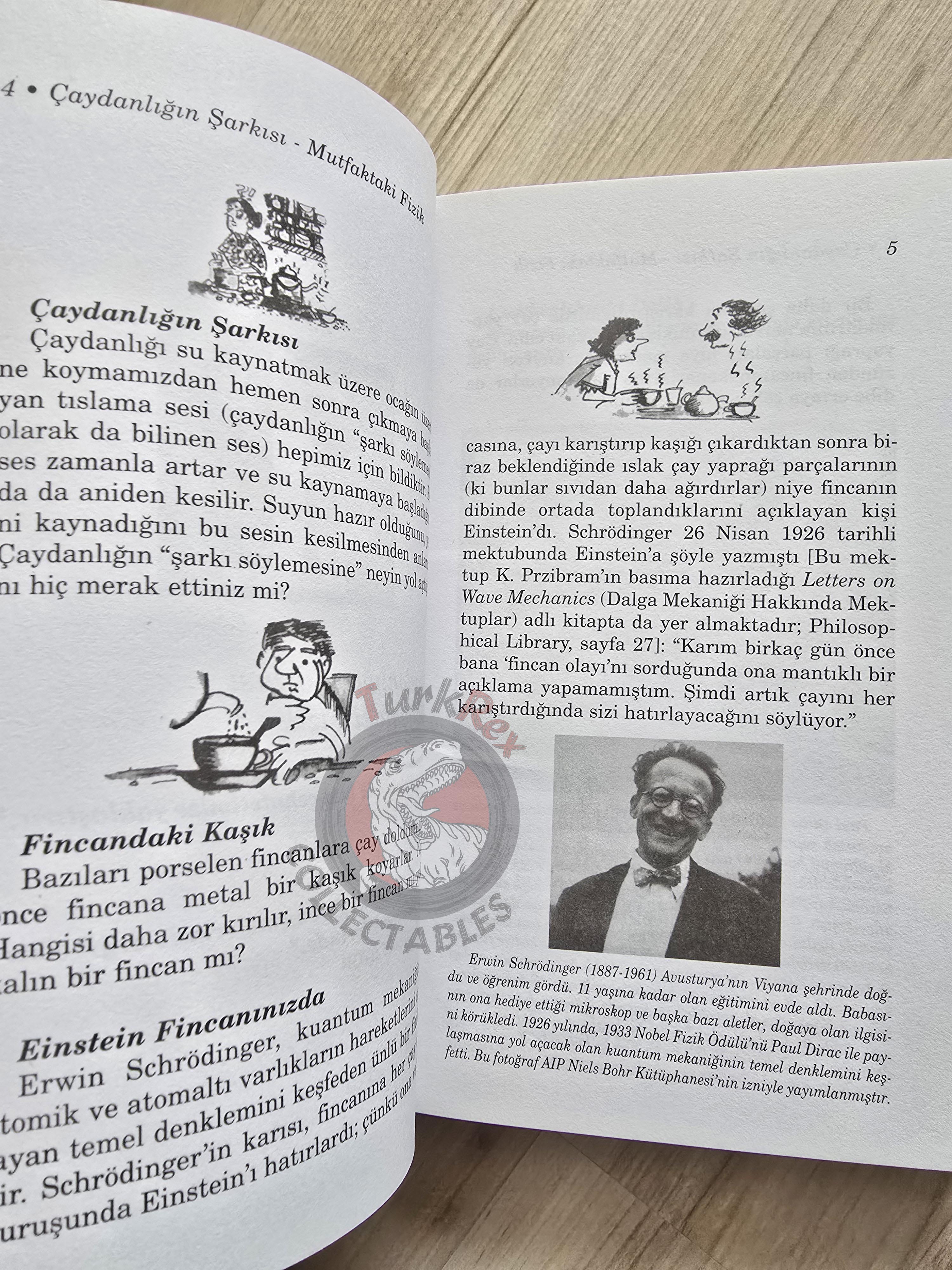 Partha Ghose – Riddles In Your Teacup 2008 Turkish Book Turkey