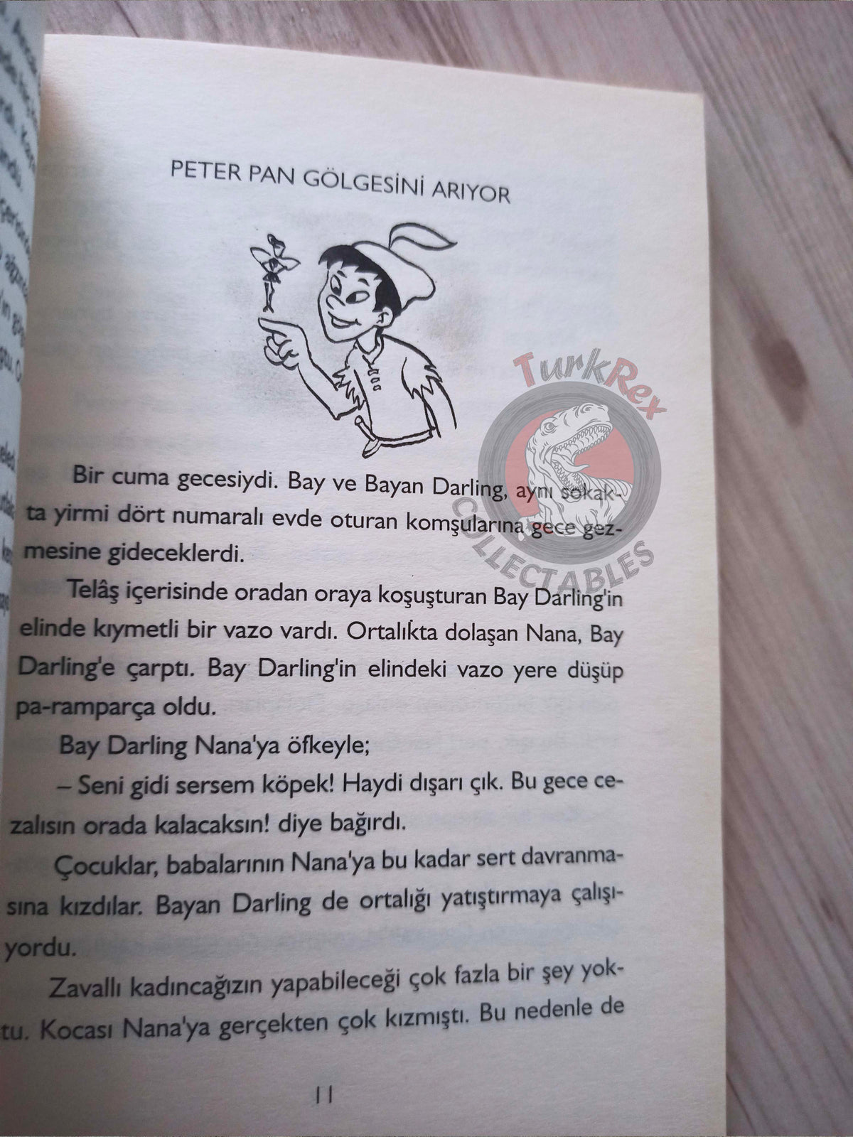 J. M. Barrie – Peter Pan 2005 Turkish Book Turkey Illustrated 1